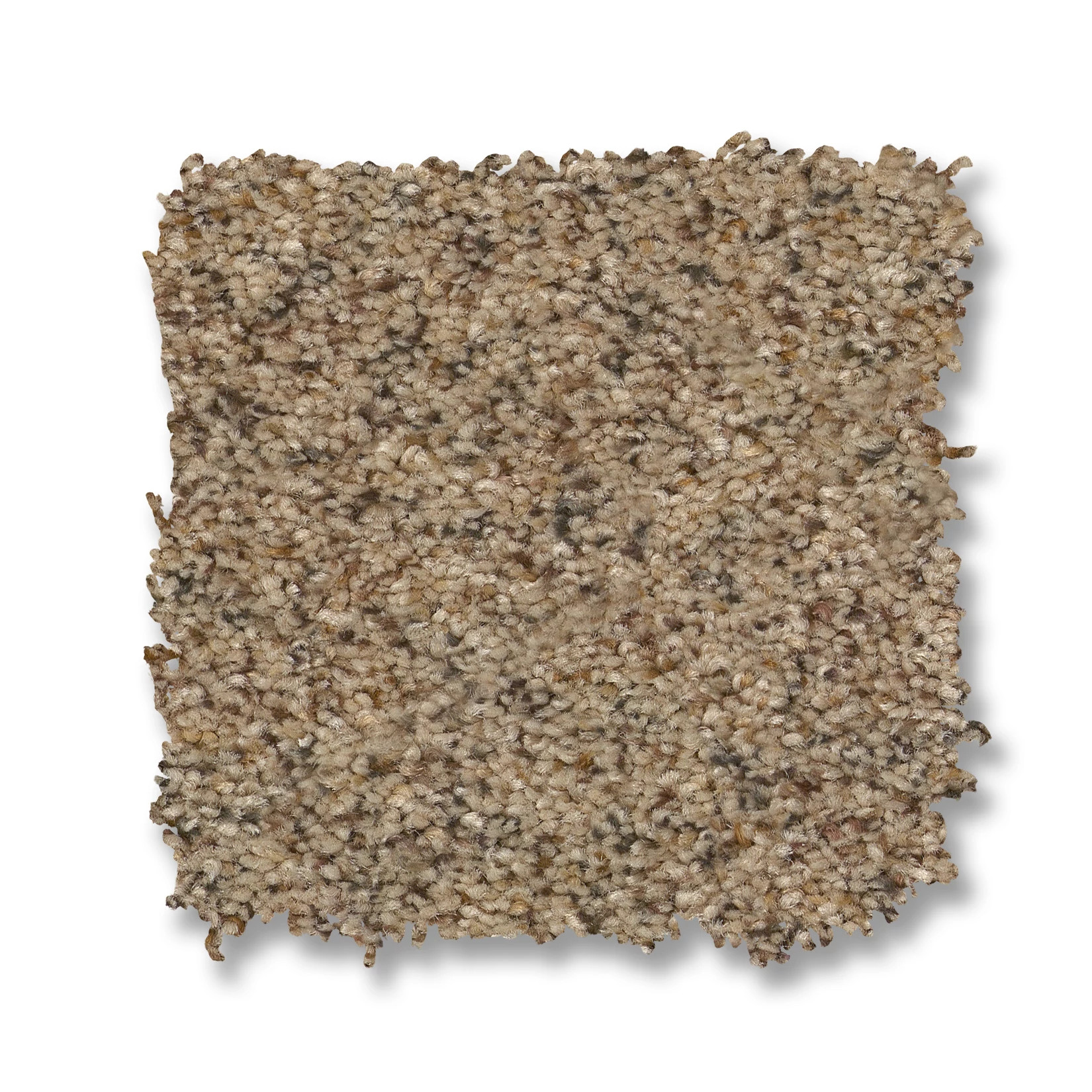 Topanga Canyon TERRAZZO SWATCH