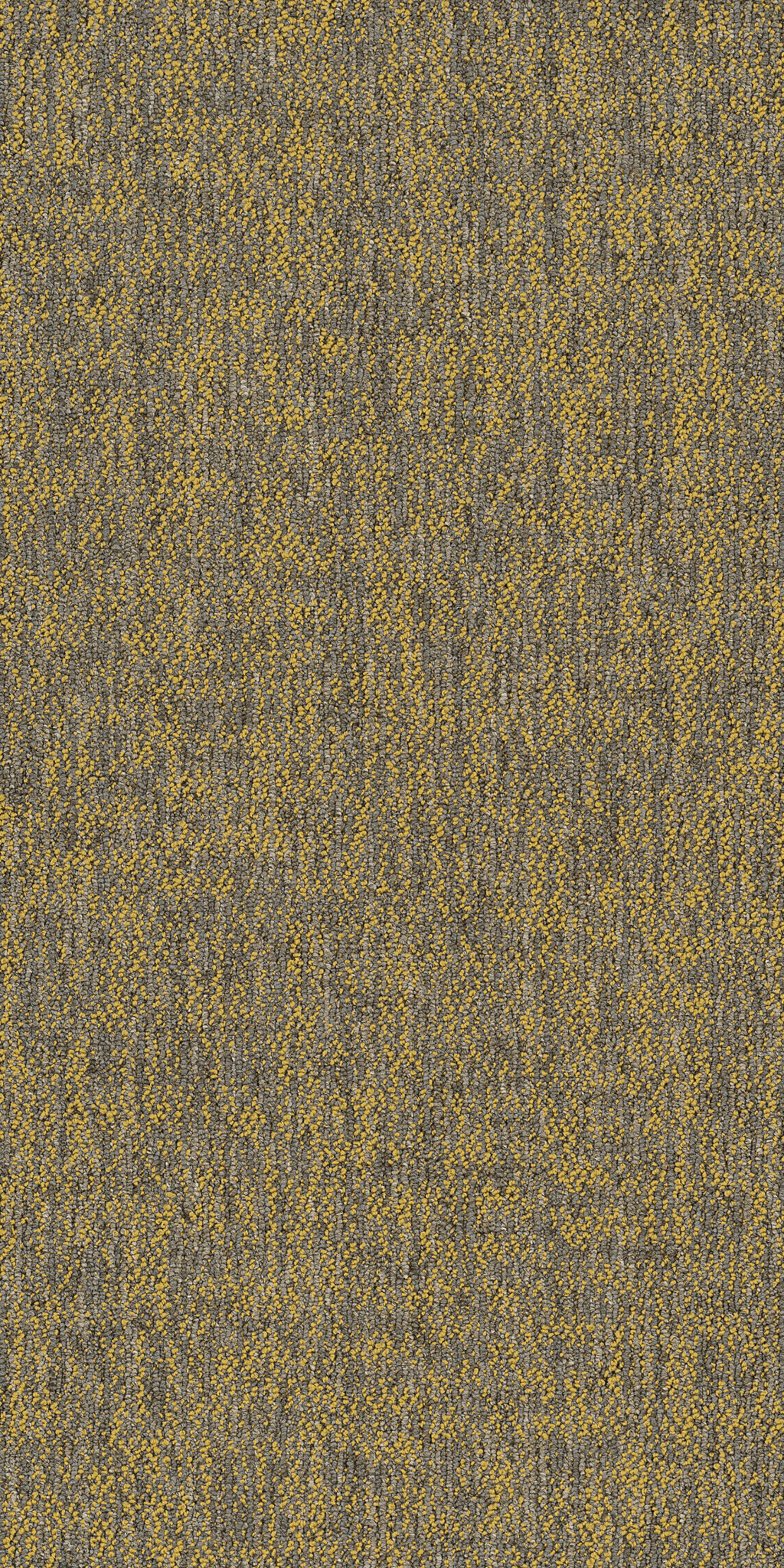 CRAZY-SMART-54841-RADIANT-00210-main-image