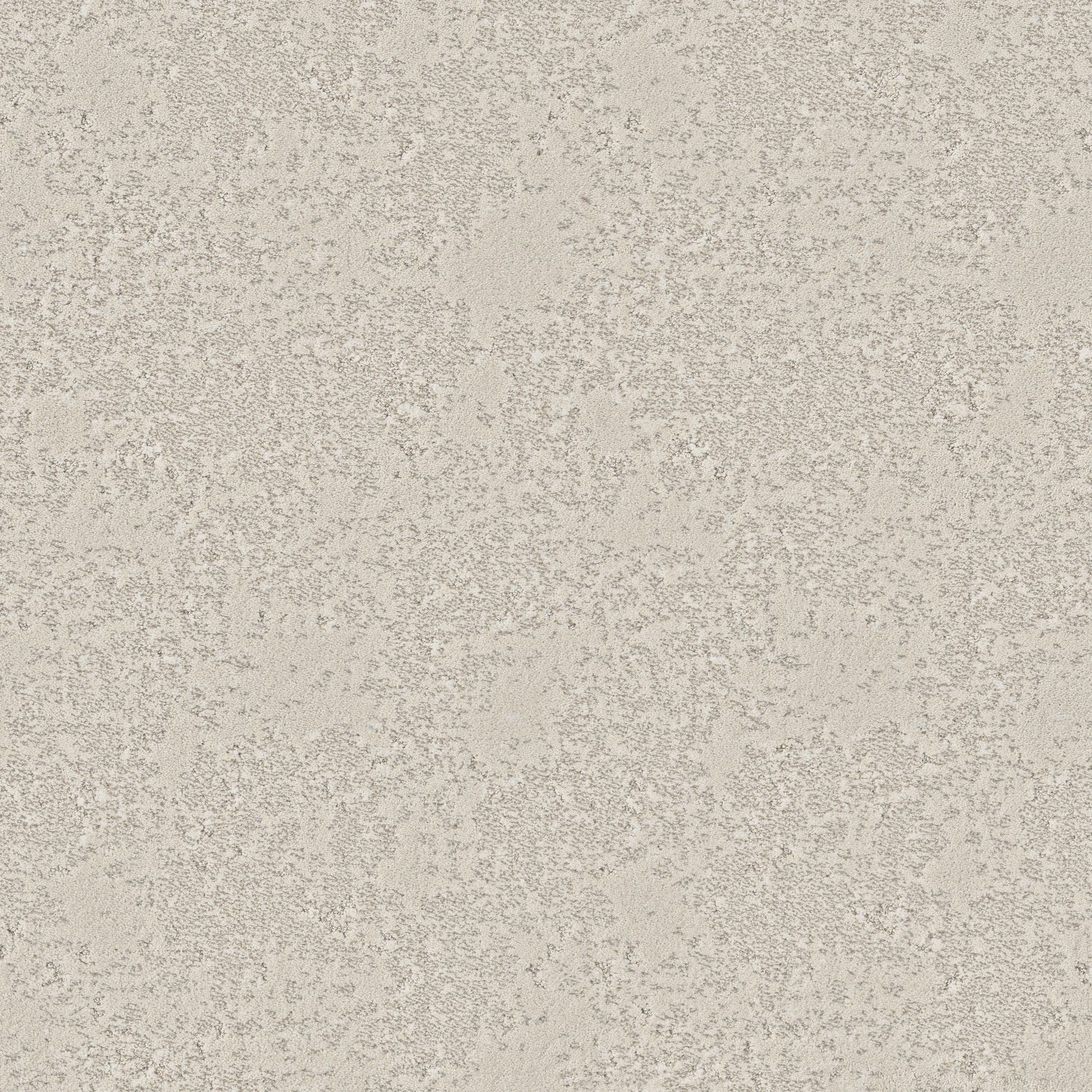 FANCY THAT TIMID WHITE MAIN