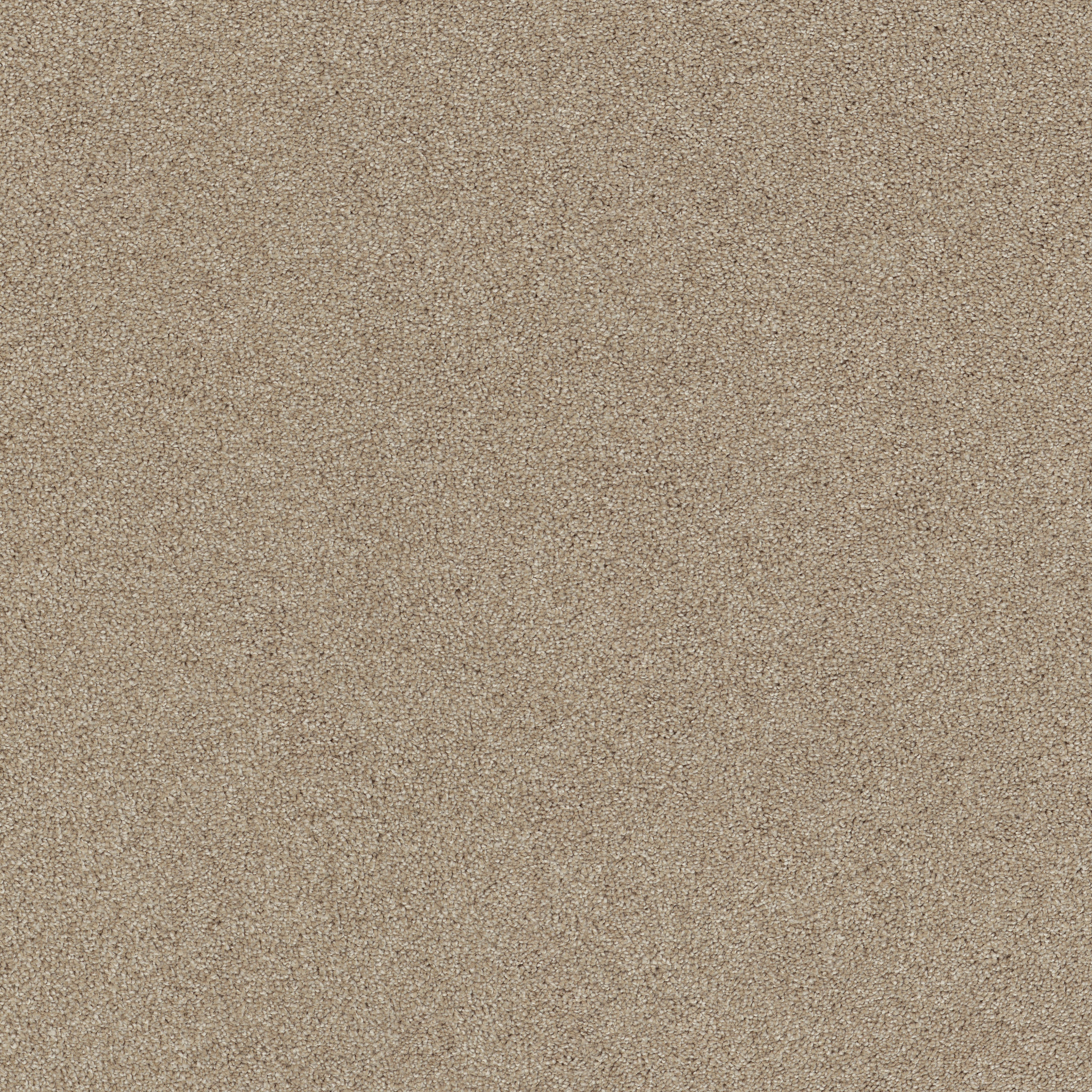 AFFIRMATION I LOFT LIGHT MAIN