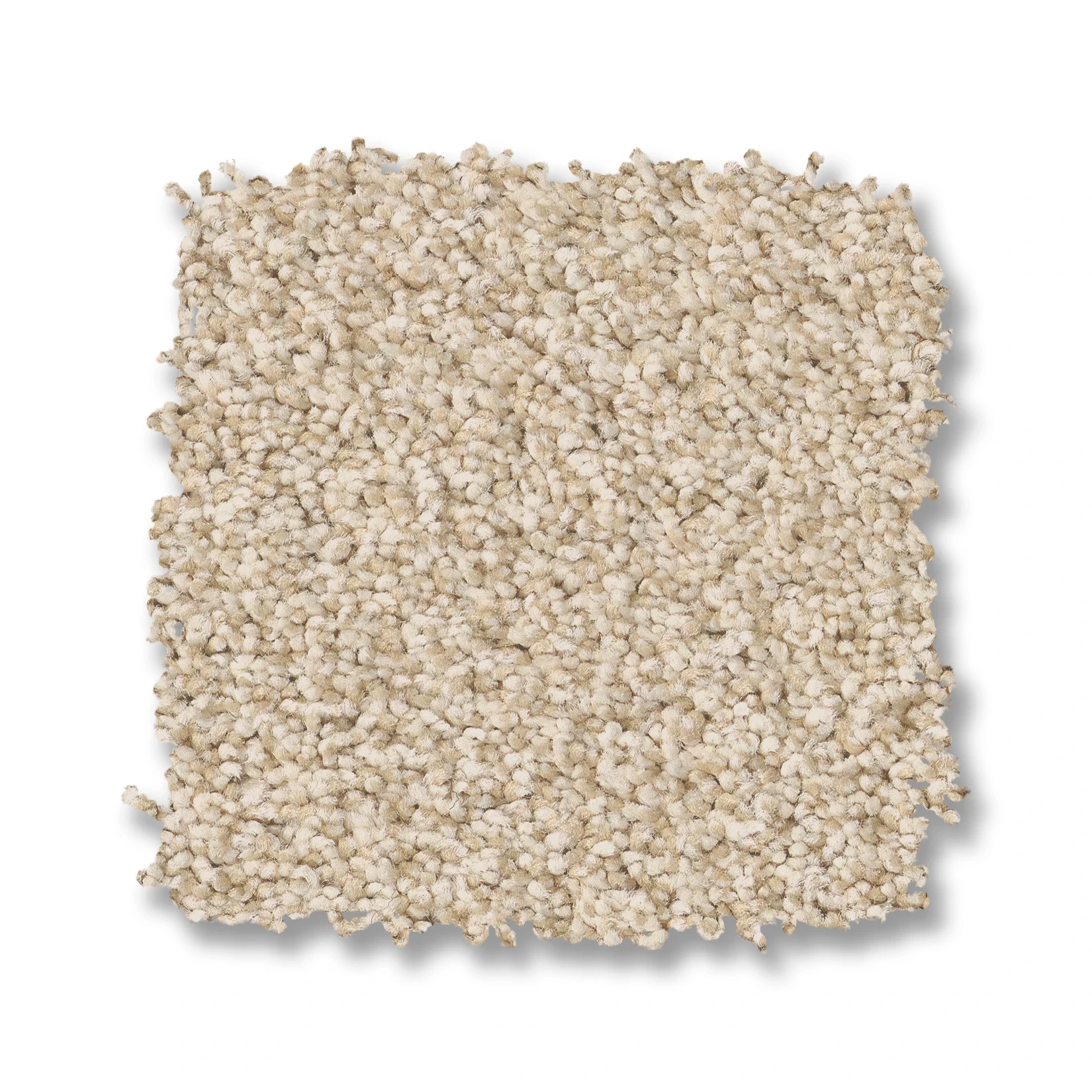 Avalon Bay - 100% Anso® High Performance Nylon in Risotto | AndersonTuftex