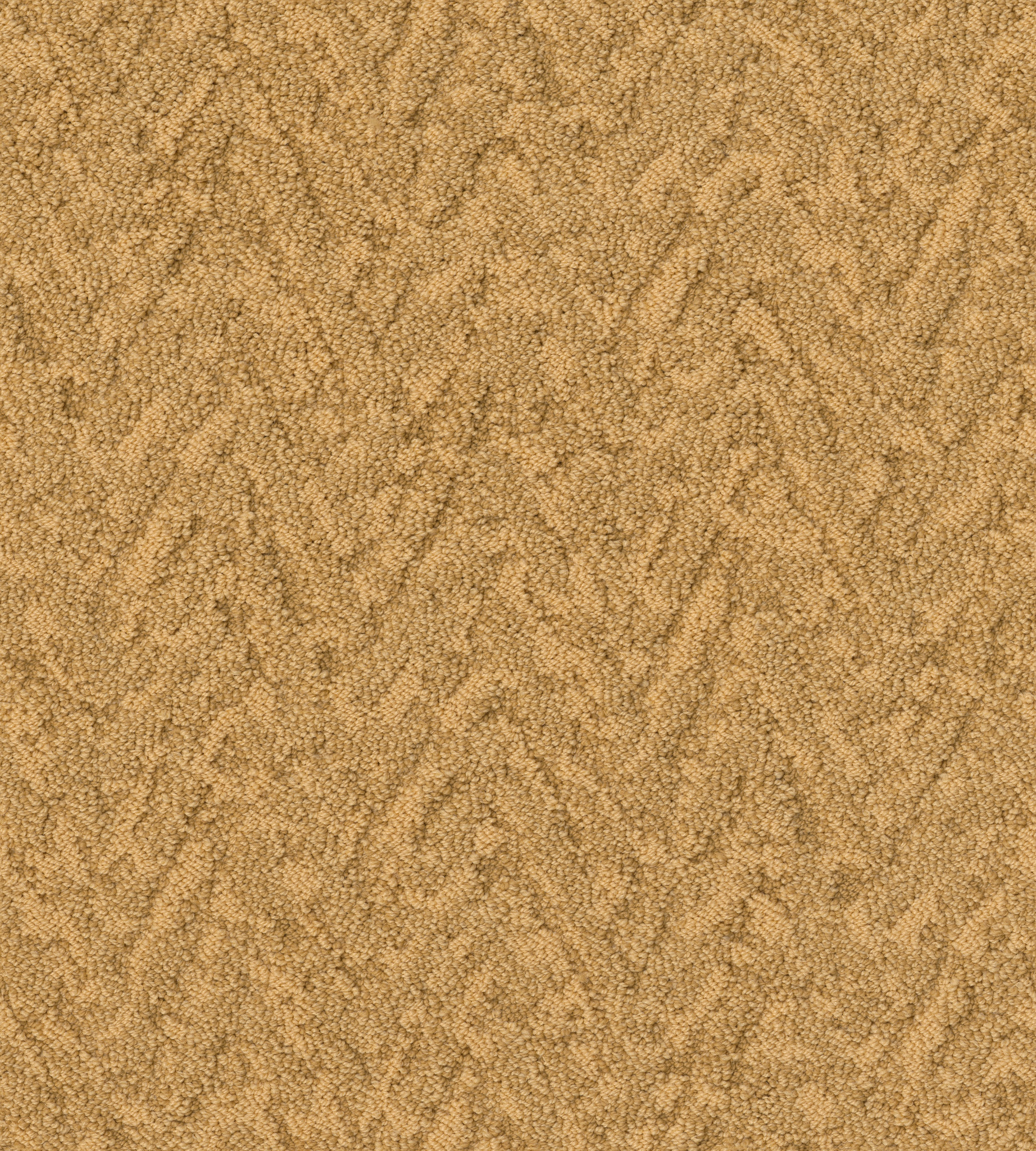 LAVISH LIVING TURMERIC MAIN