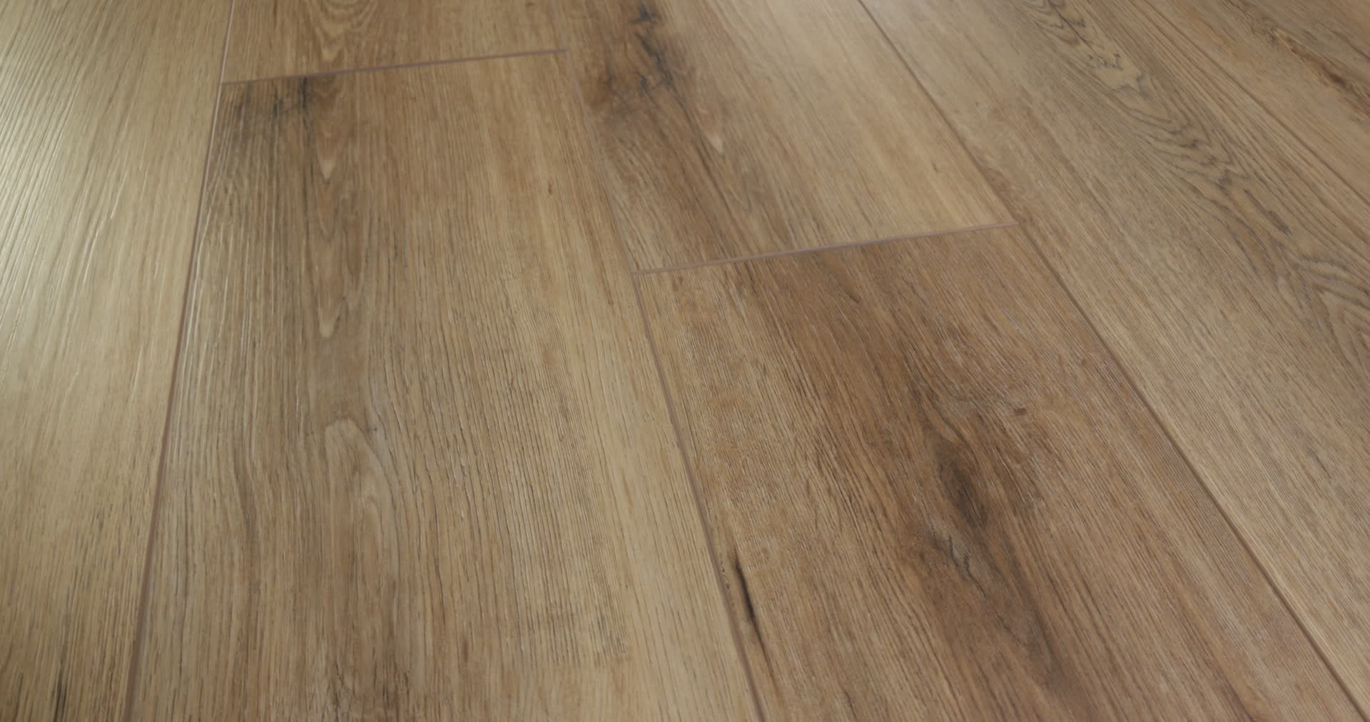 PALADIN PLUS WILD DUNES 360PROD