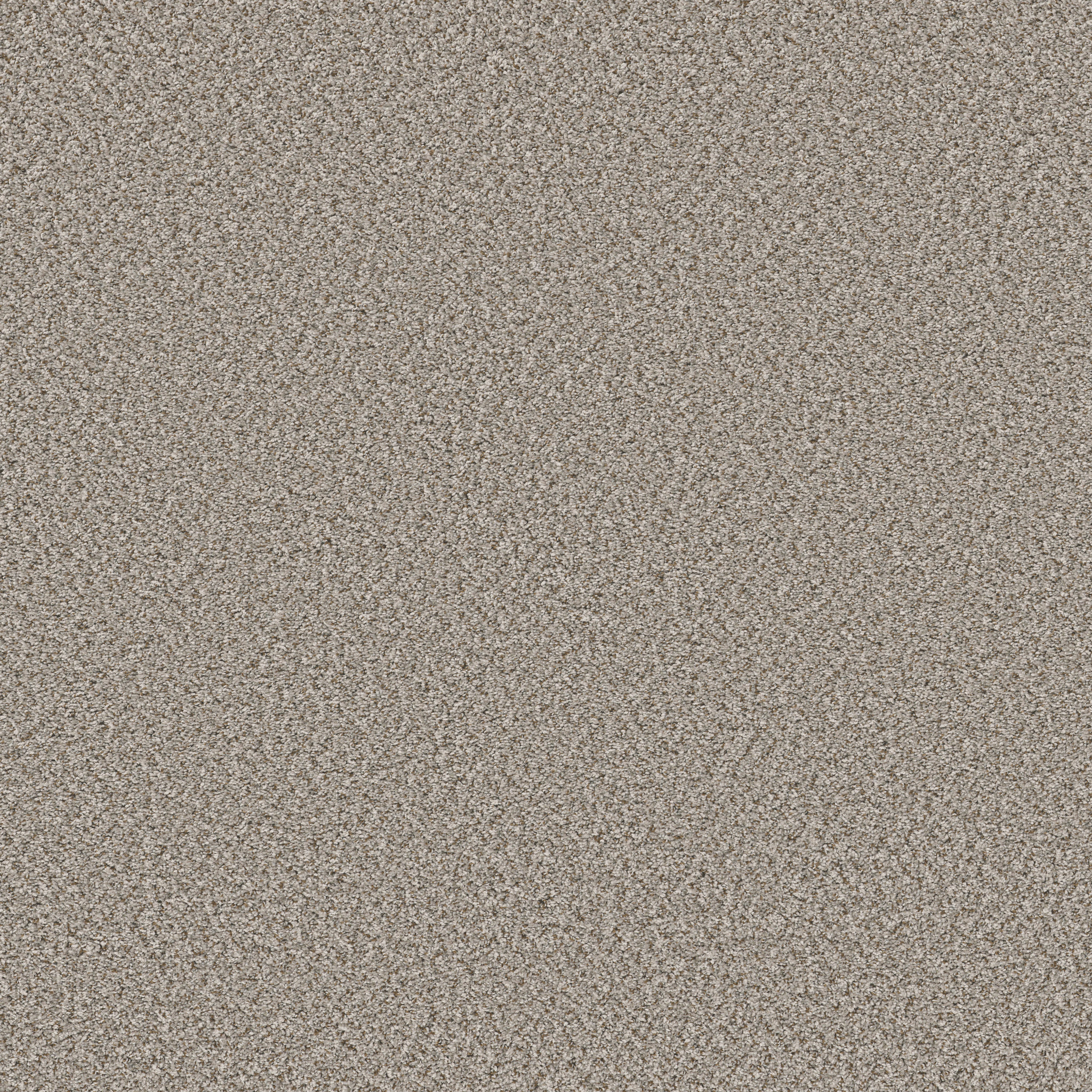 FEELIN' ALRIGHT ALMOND MAIN