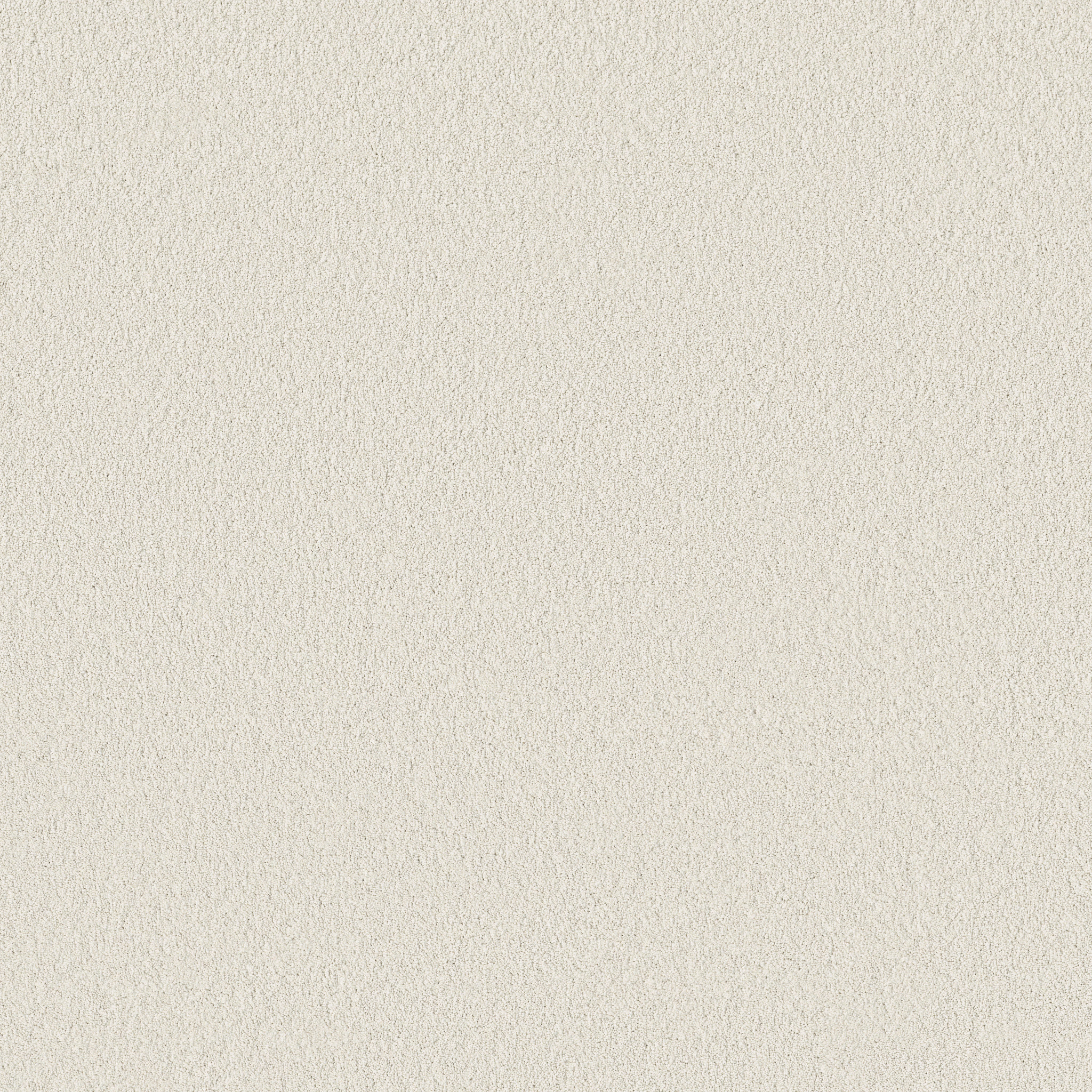 VELVET TOUCH I SNOWFALL MAIN