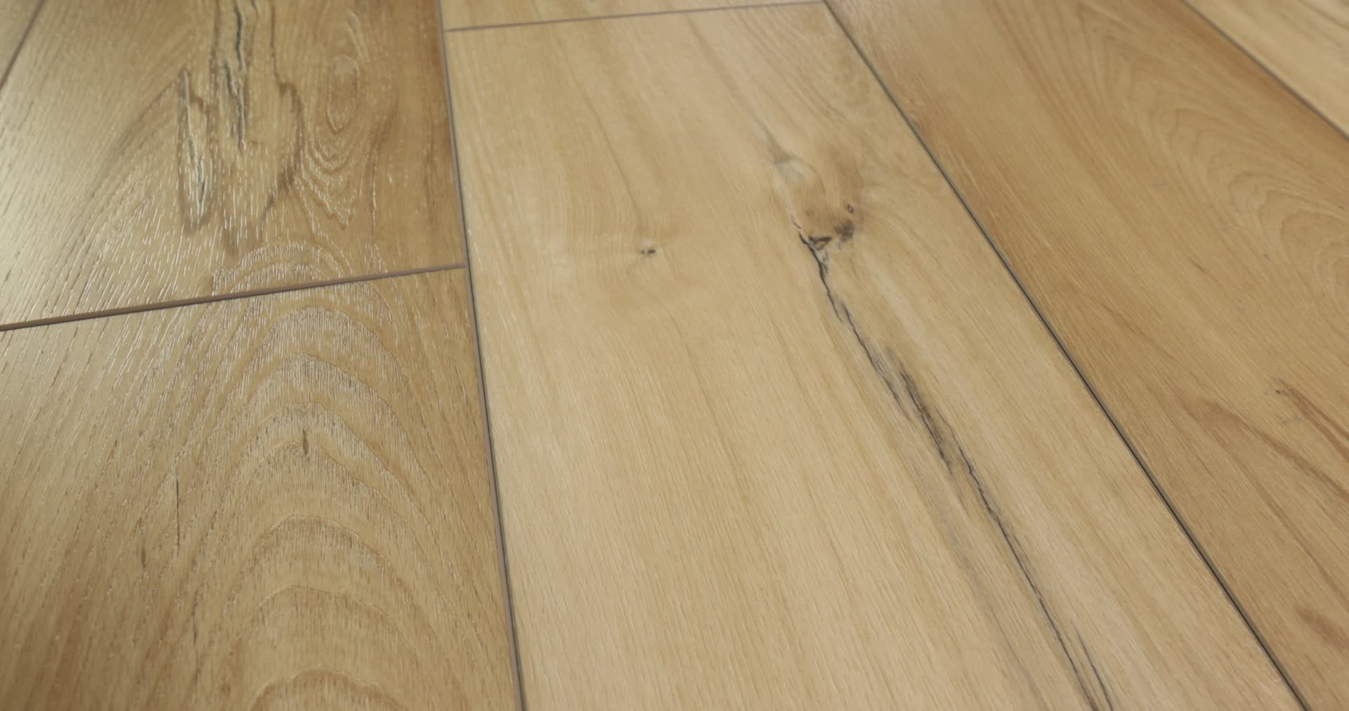 TITAN HD PLUS IMPERIAL BEECH 360PROD