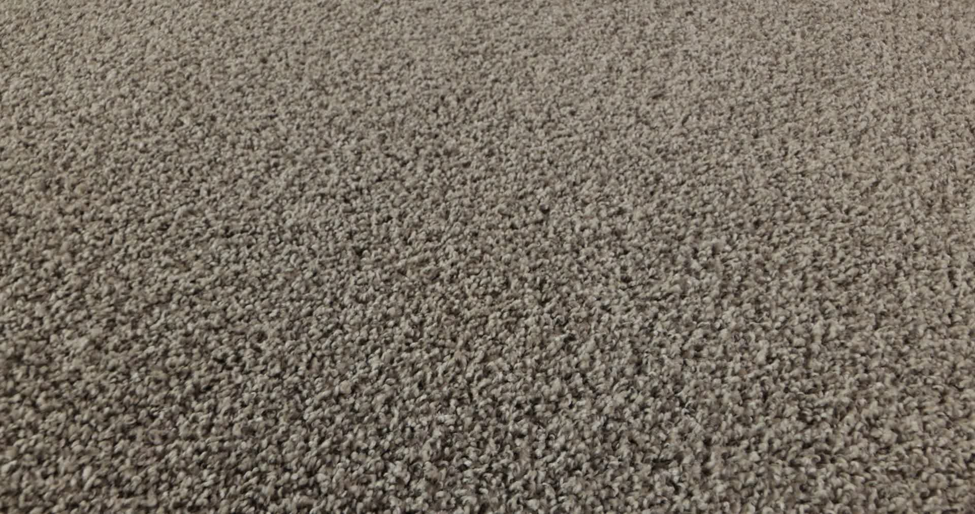 SOFT EFFERVESCENCE OVERCAST 360PROD