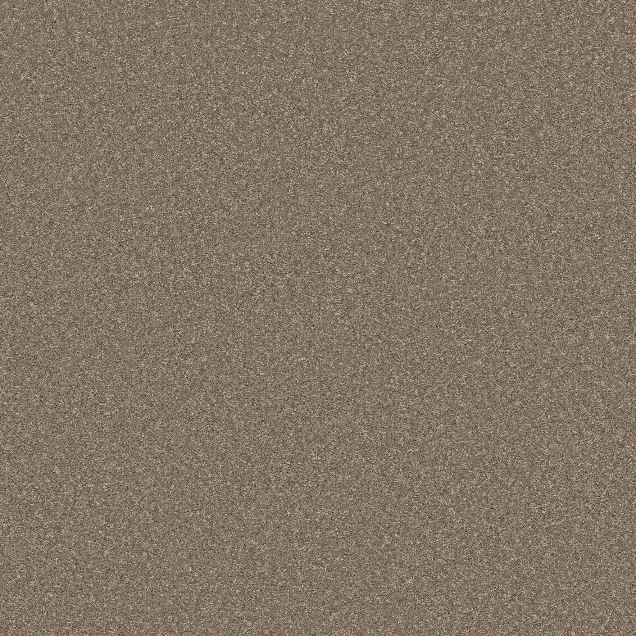 WAY TO GO III CHIC TAUPE MAIN