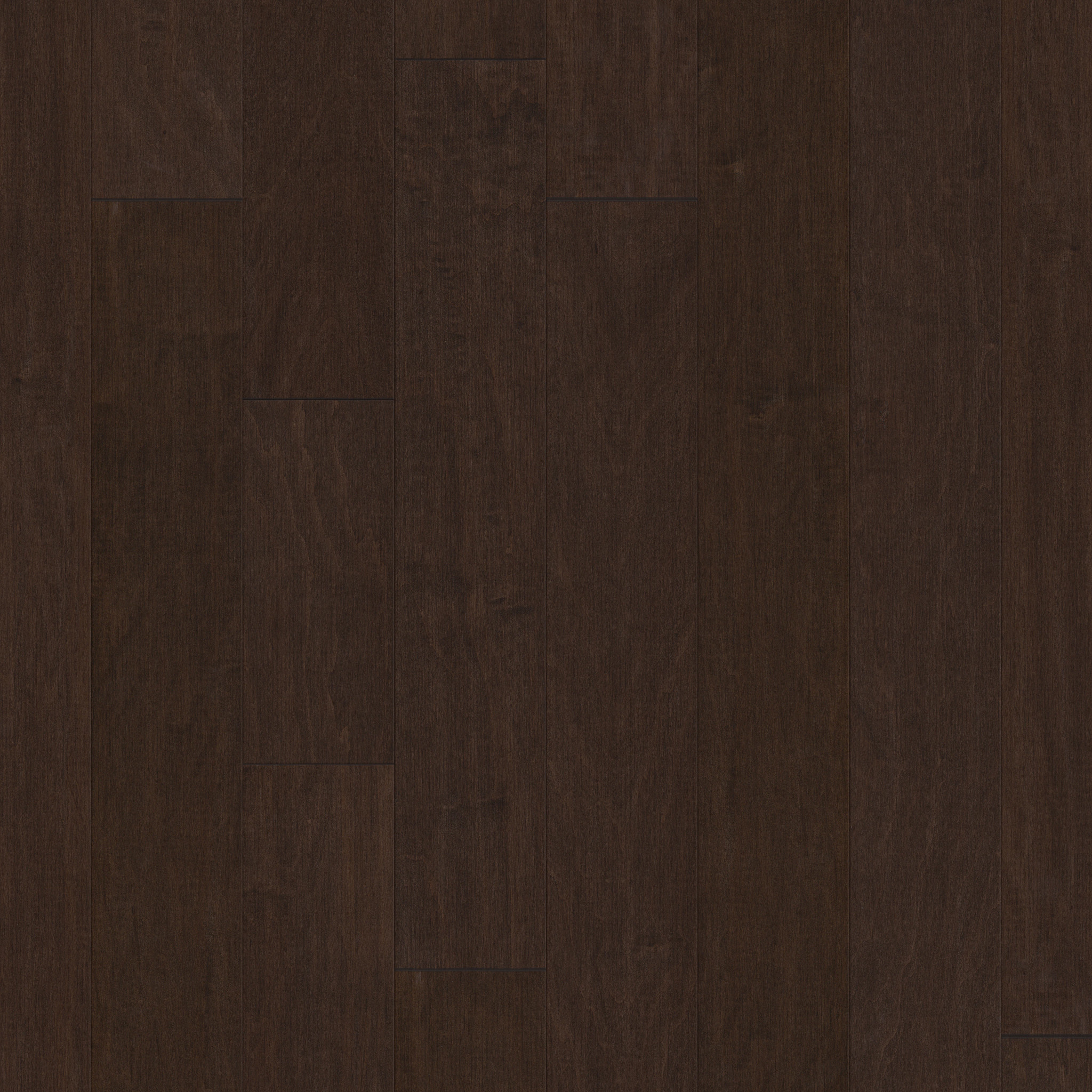 CORAL SPRINGS BAYFRONT MAIN