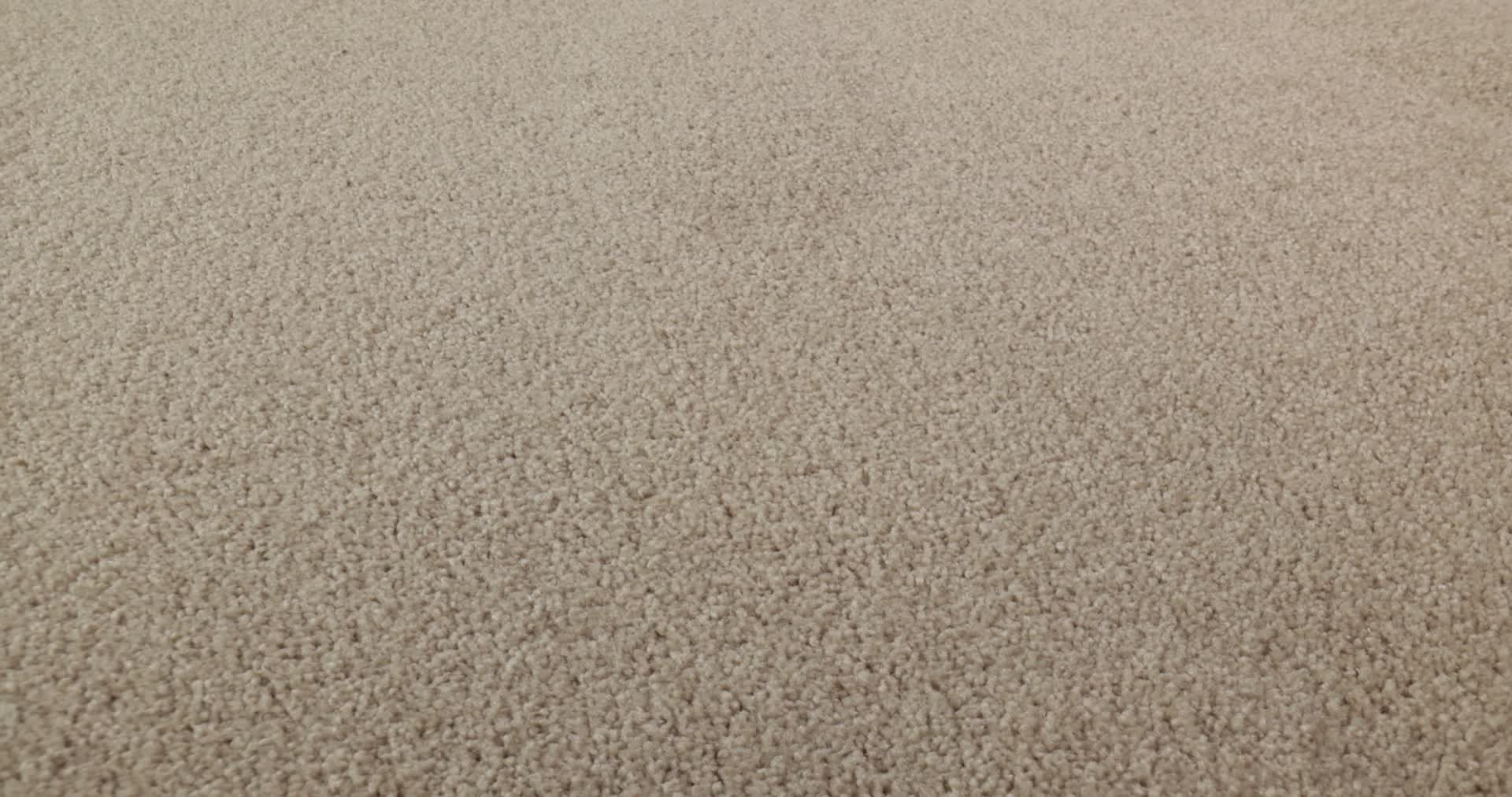 HOLLYWOOD REGENCY II 15' COOKIE DOUGH 360PROD