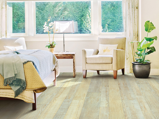 Designing a Healthier Home