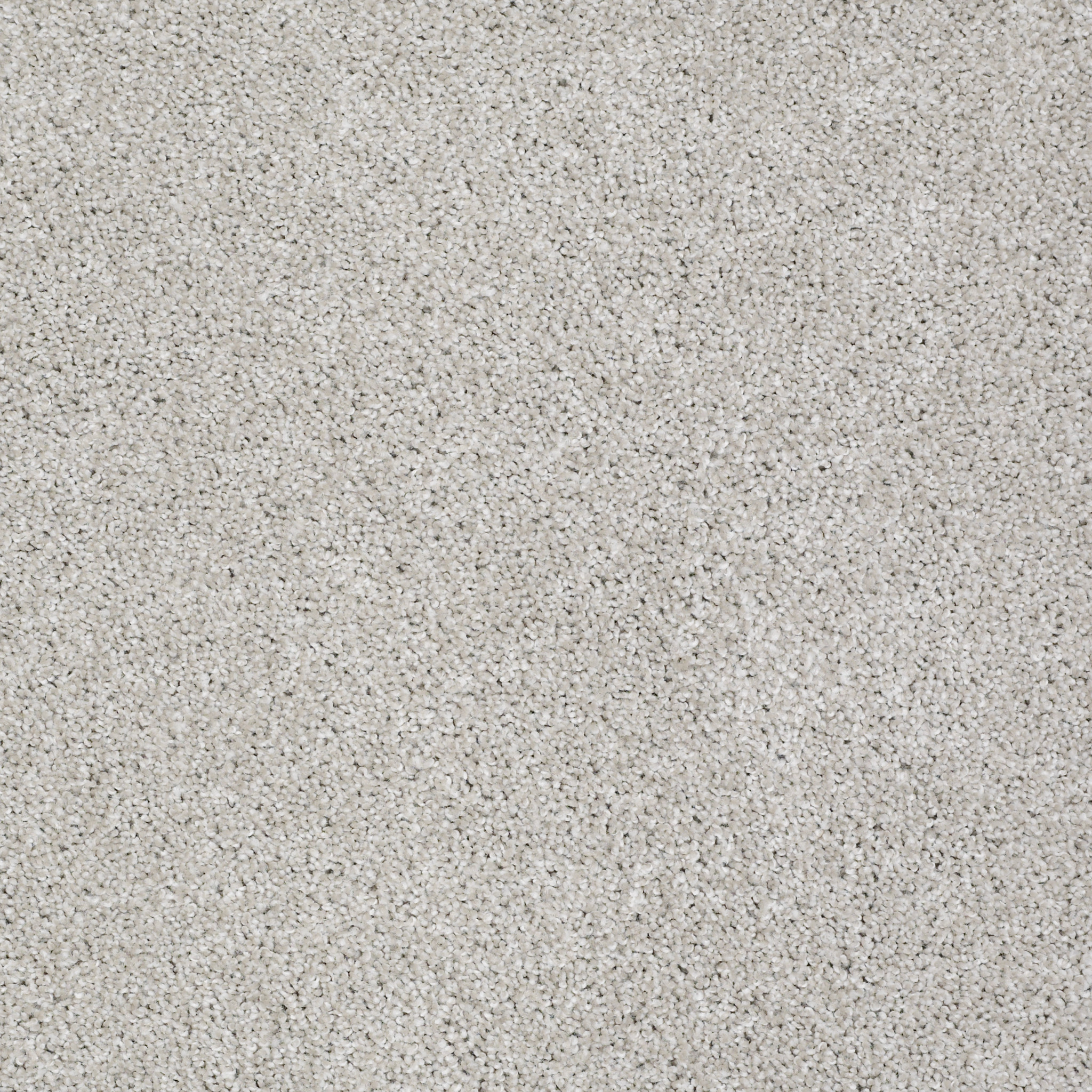 ALWAYS READY I REALIST MAIN