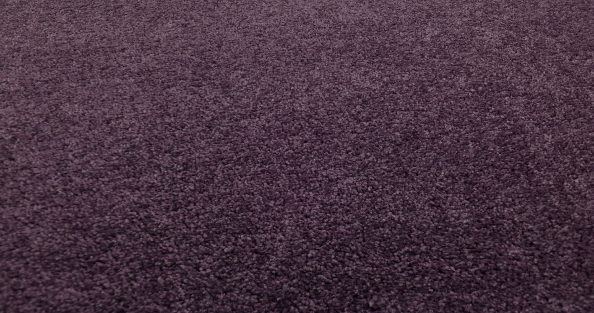 NEWBERN CLASSIC 12' VIOLET CRUSH 360PROD