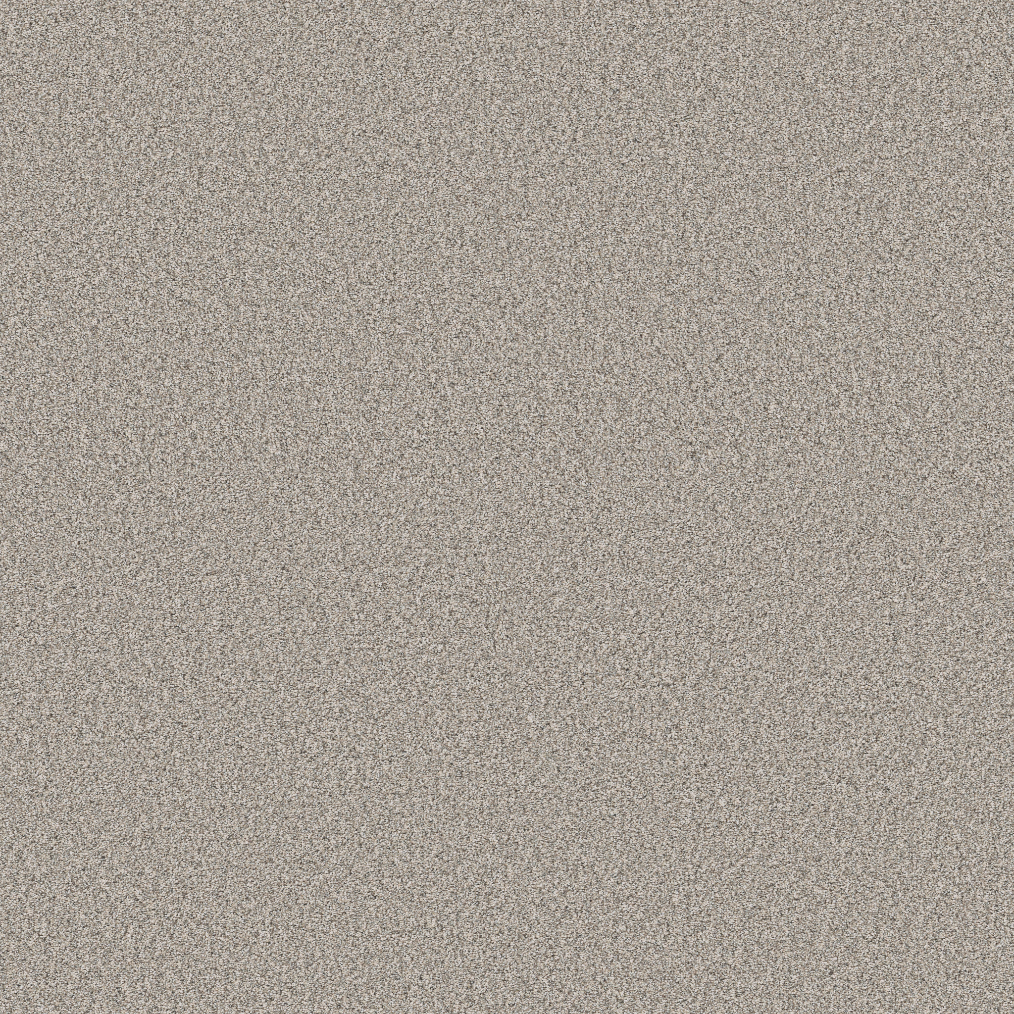 TIMELESS TONE TWILIGHT TAUPE MAIN