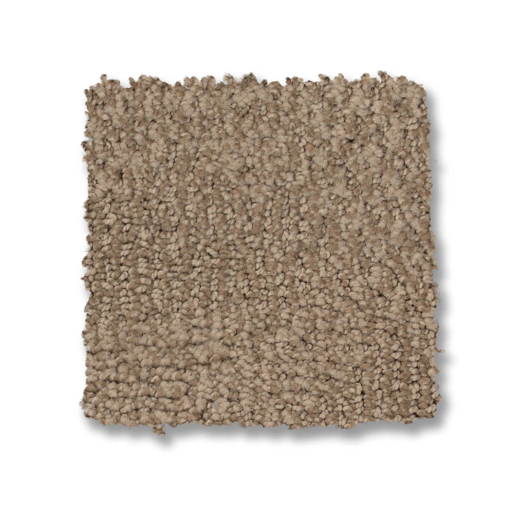 ARIO BAY SHORE SWATCH