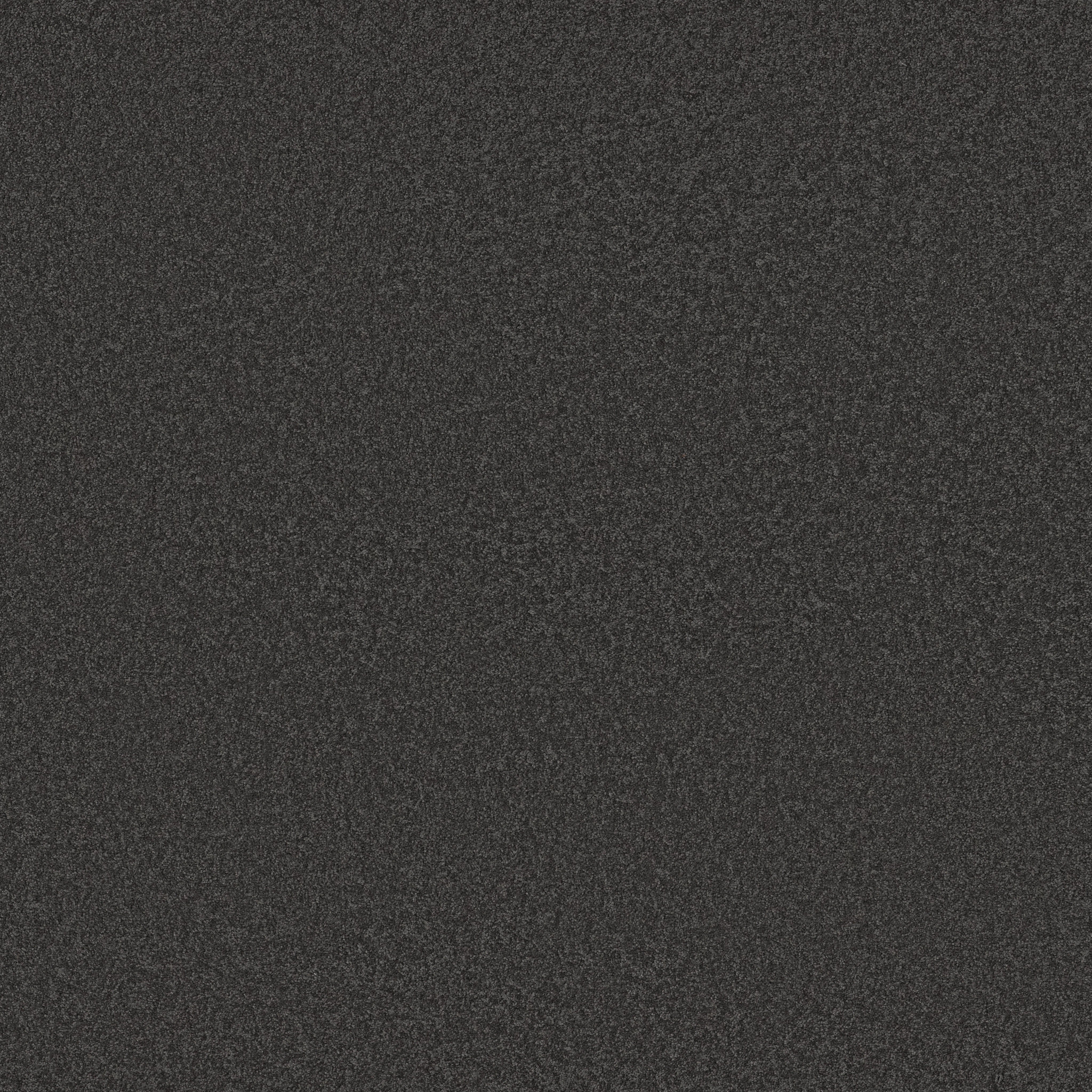 SHINGLE CREEK I 12 DUTCH BOY MAIN