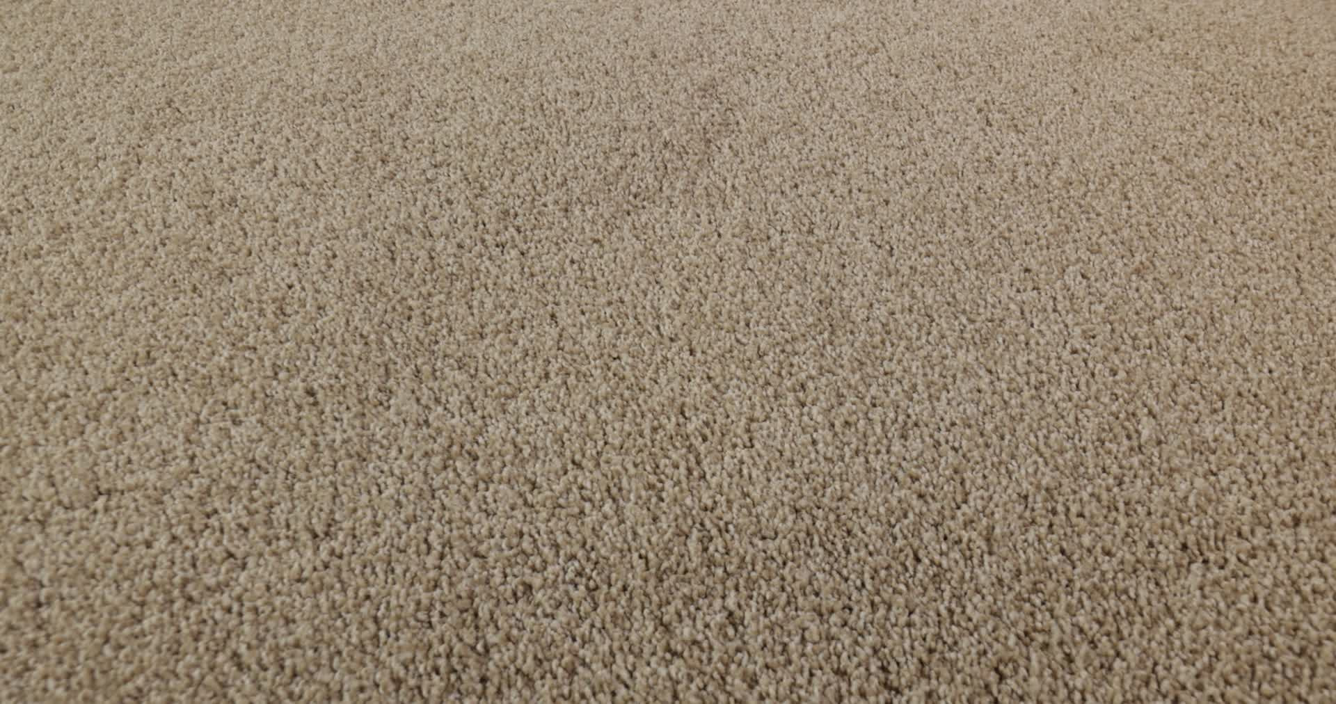 COZY HARBOR I NATURAL BEAUTY 360PROD