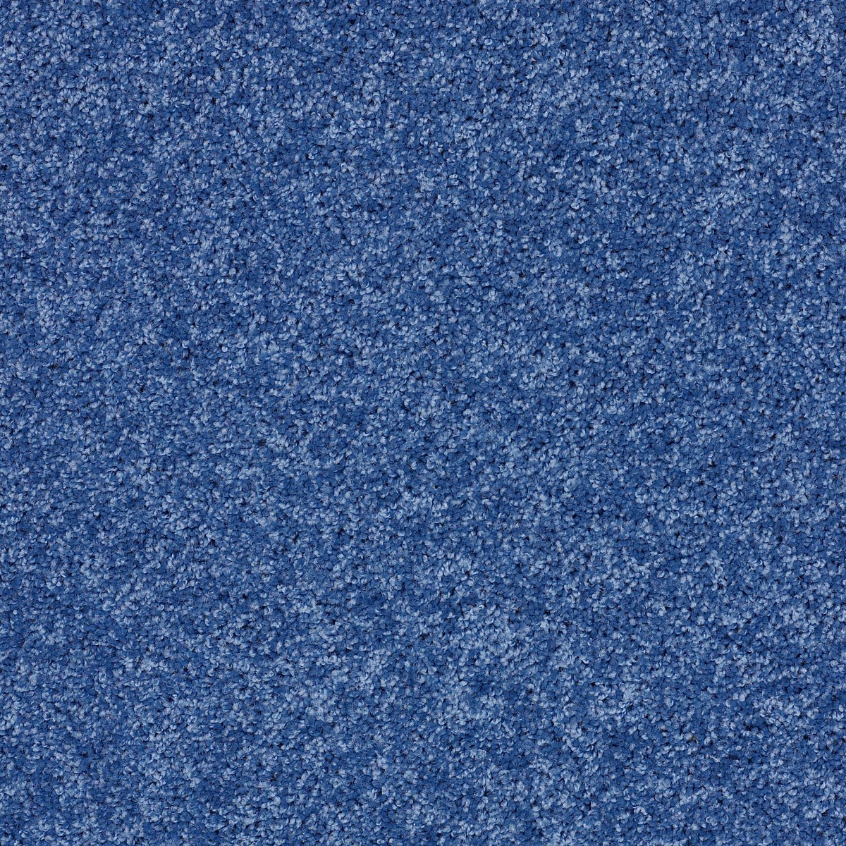 Shaw Floors KIDS RULE — COBALT VIBE