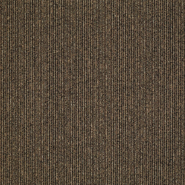 STEP-ON-IT-54587-EARLY-BIRD-87200-main-image