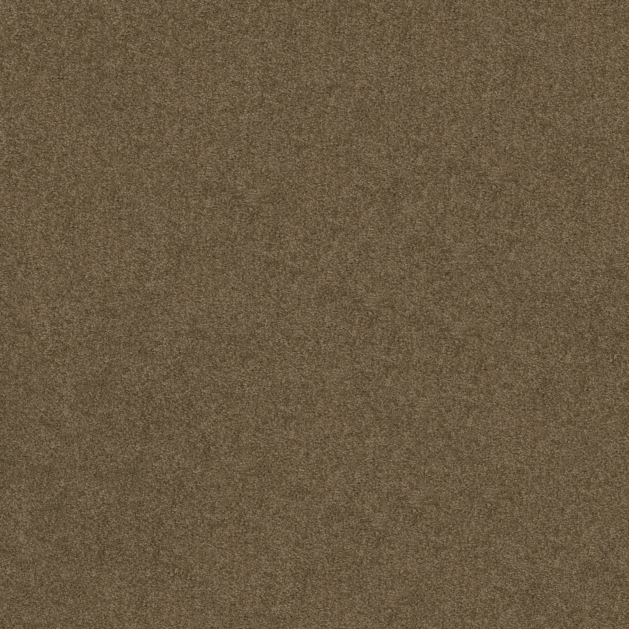 SALINA I VICUNA MAIN