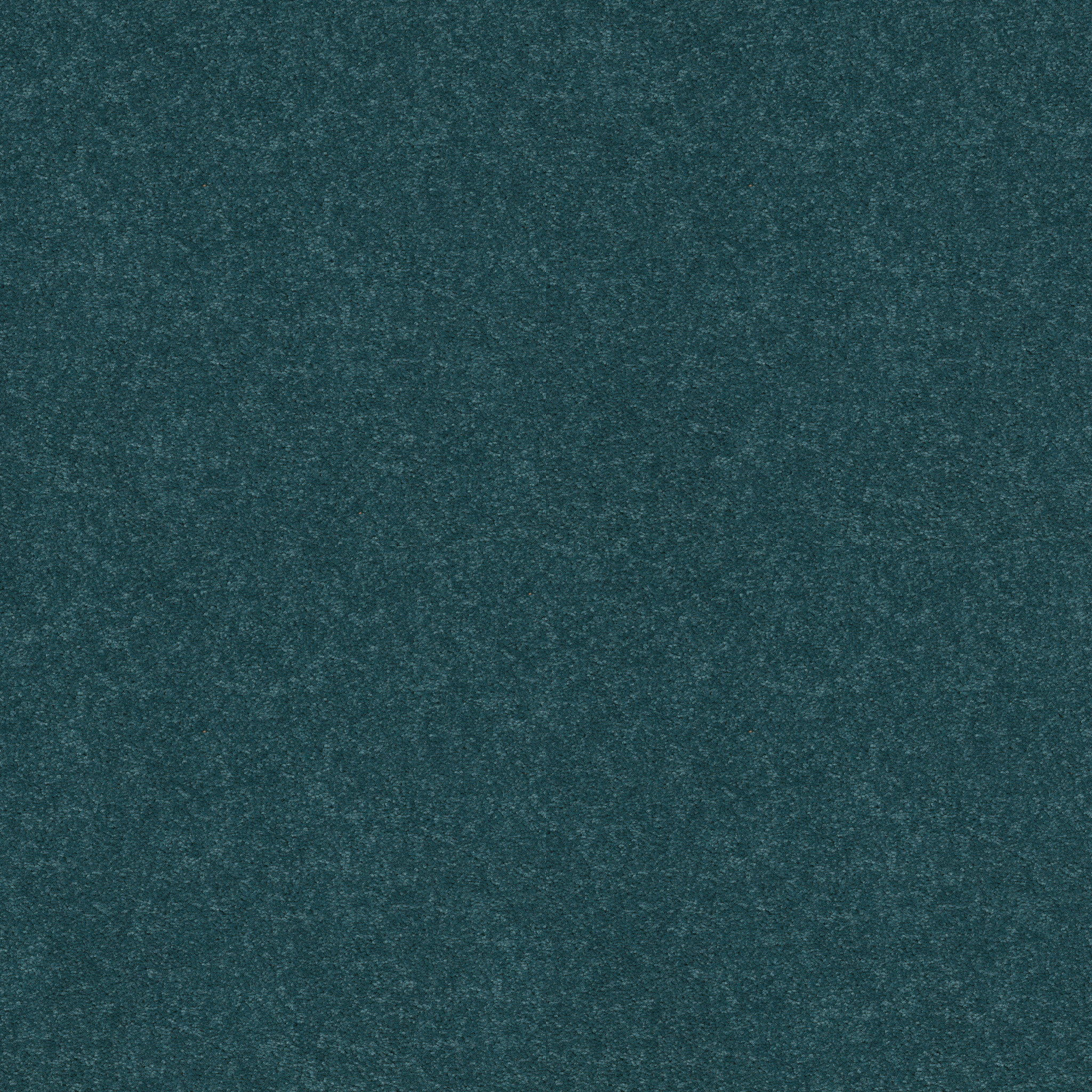 DYERSBURG CLASSIC 12' OCEAN MAIN