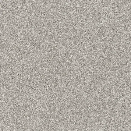 Durable light gray carpet for a cozy home atmosphere Light gray textured carpet swatch for everyday comfort and easy maintenance
