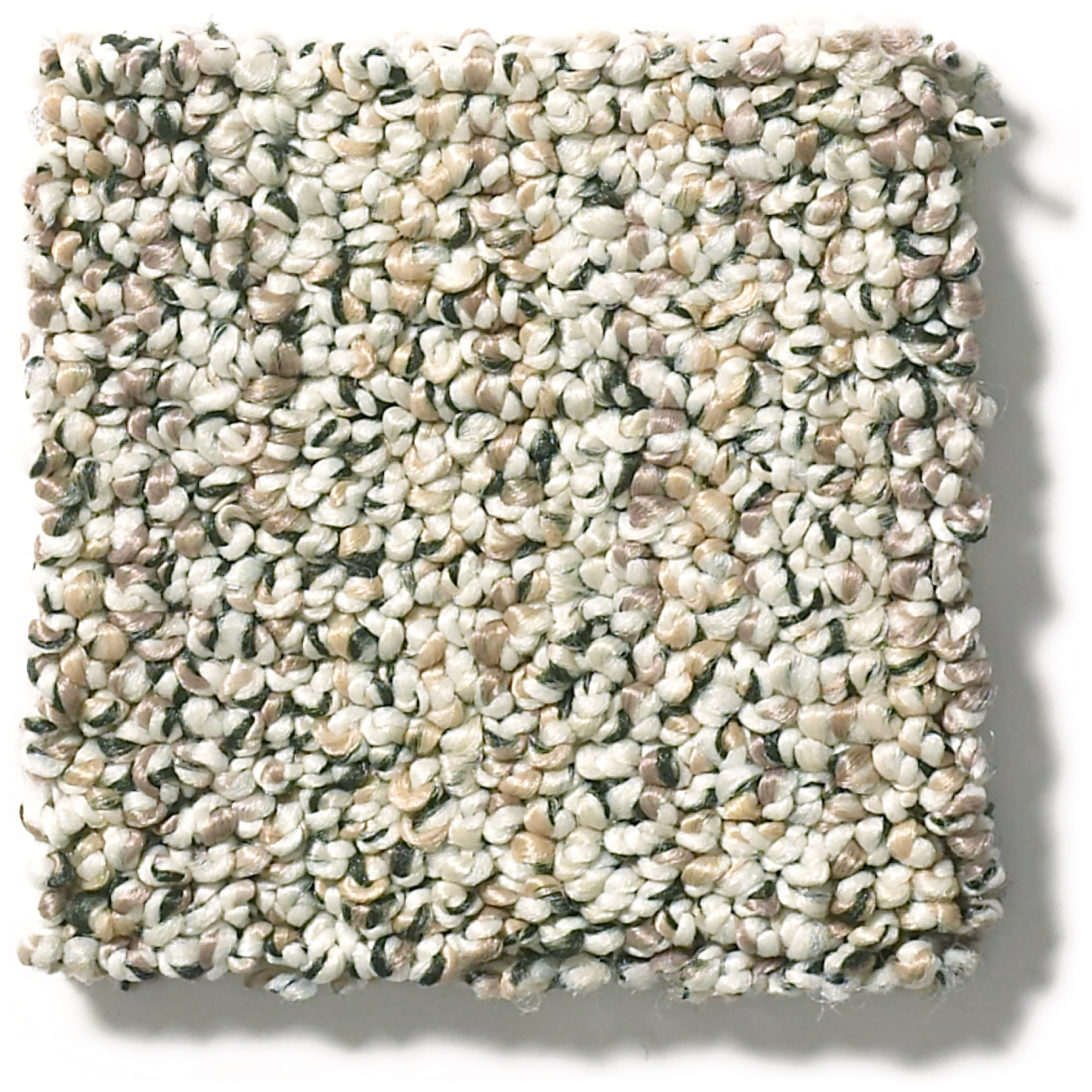 Aspen Creek-Carpet Textured Loop – Winter Oak