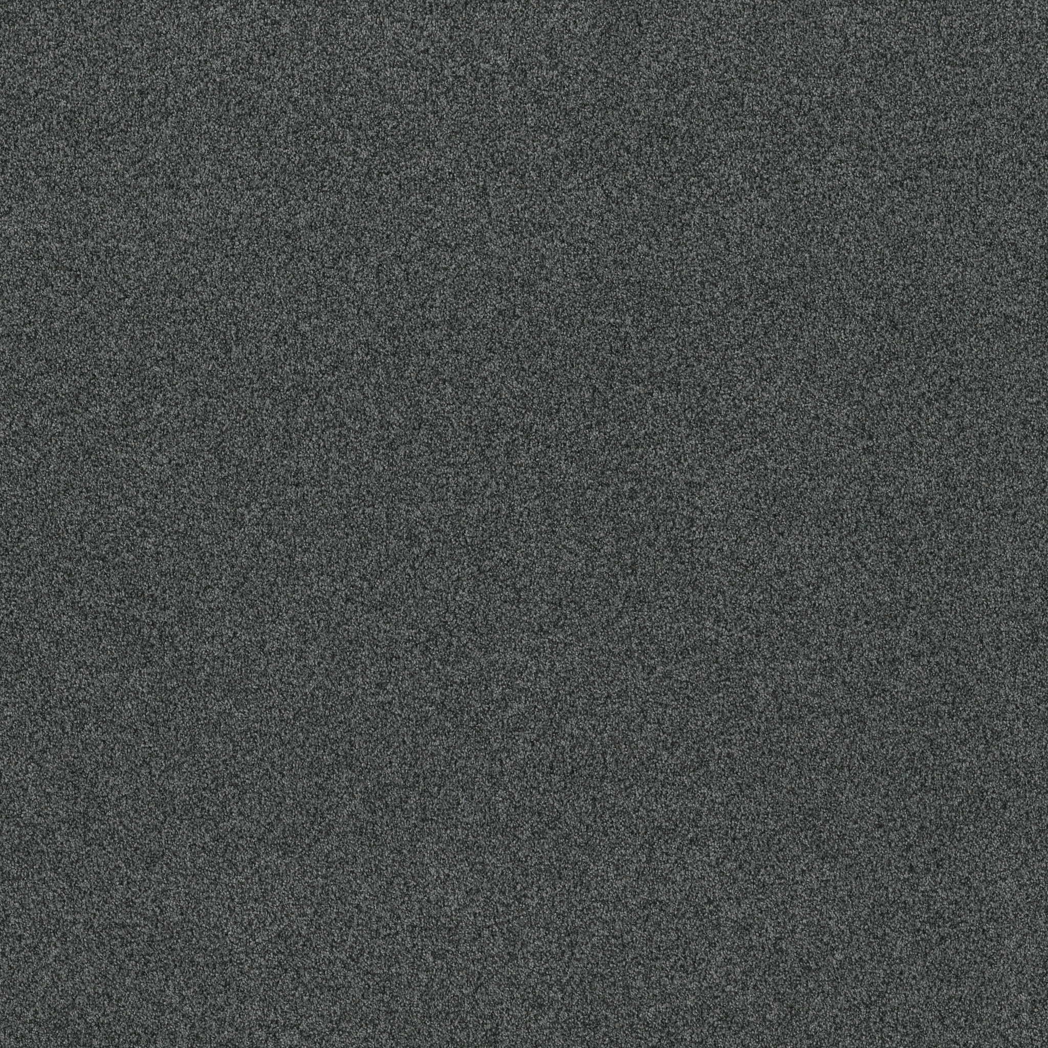 TERRA NOVA SUBMARINE MAIN