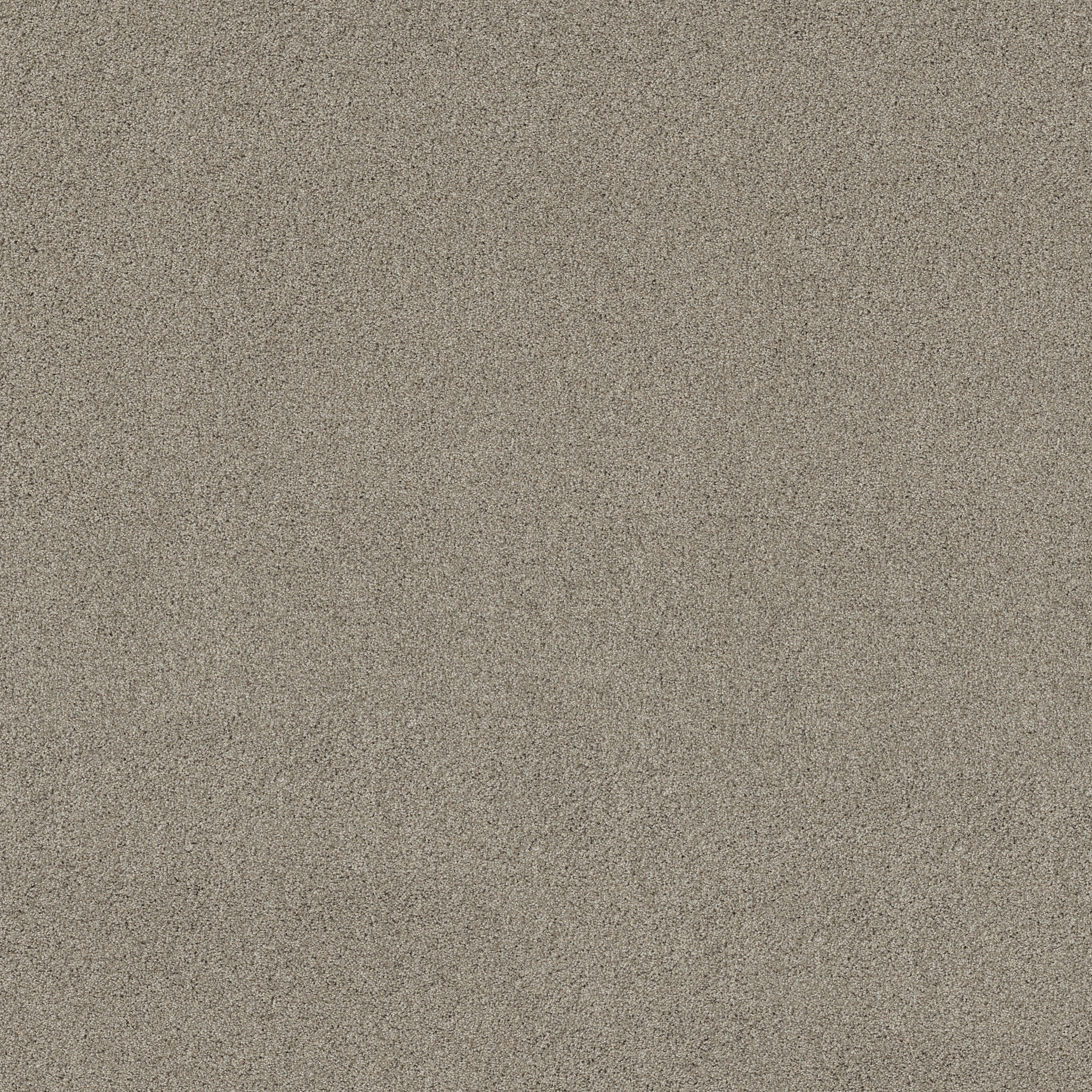 ACADIA PARK SHADOW MAIN