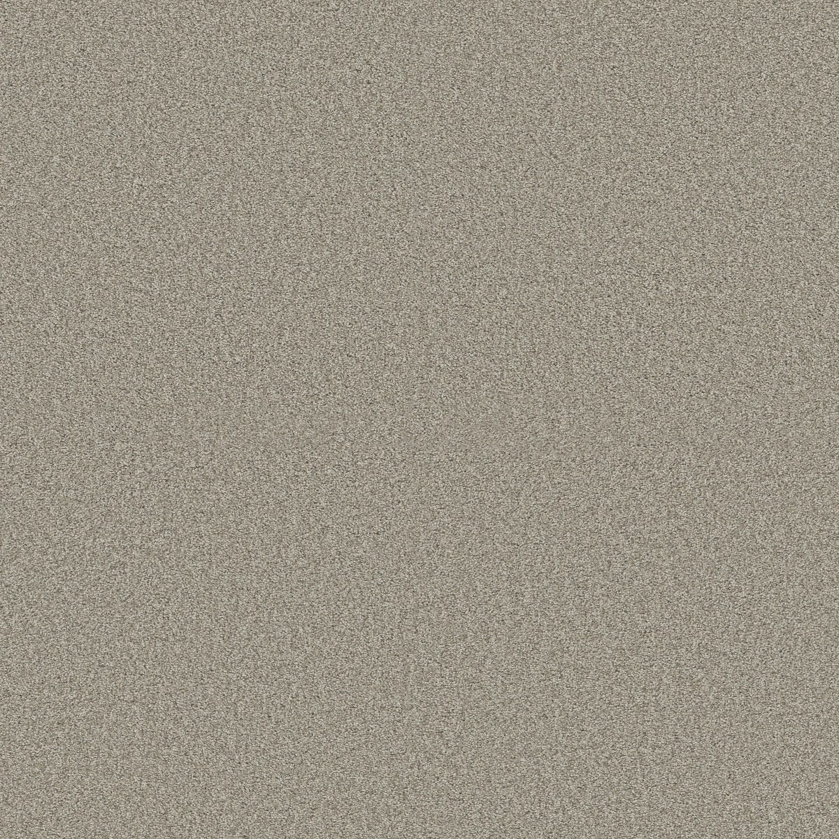 Shaw Floors TONAL COMFORT I — BACK PATIO