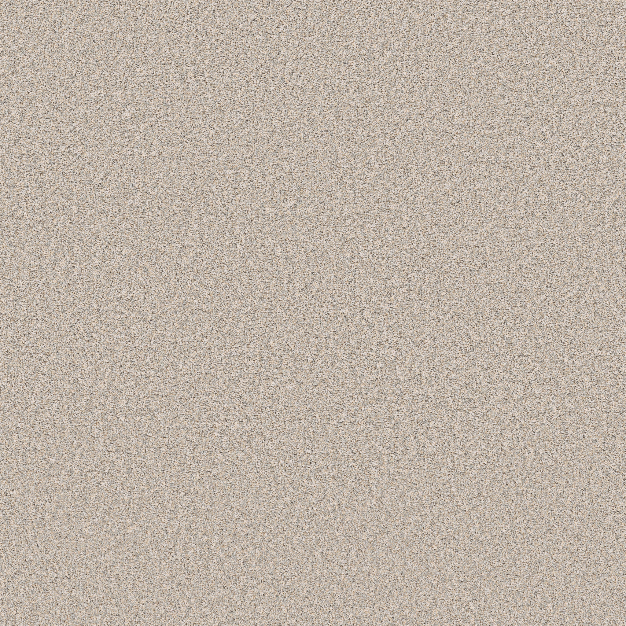 ELEVATED III NUANCE MAIN