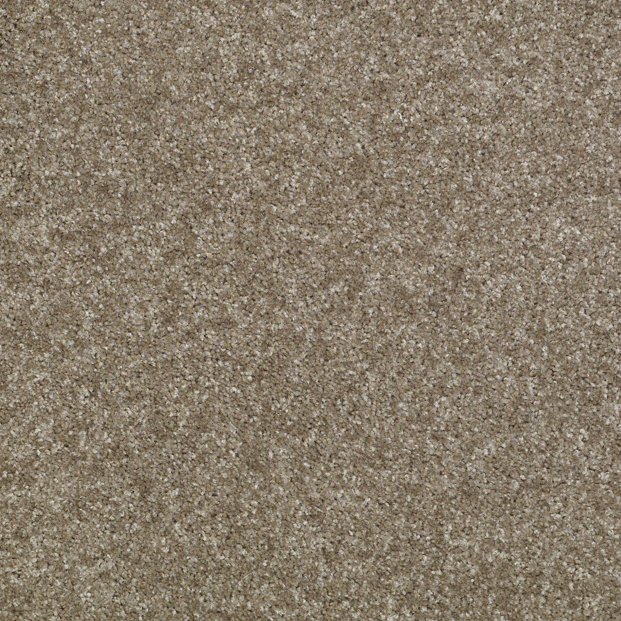 VICTORY CALMING MAIN