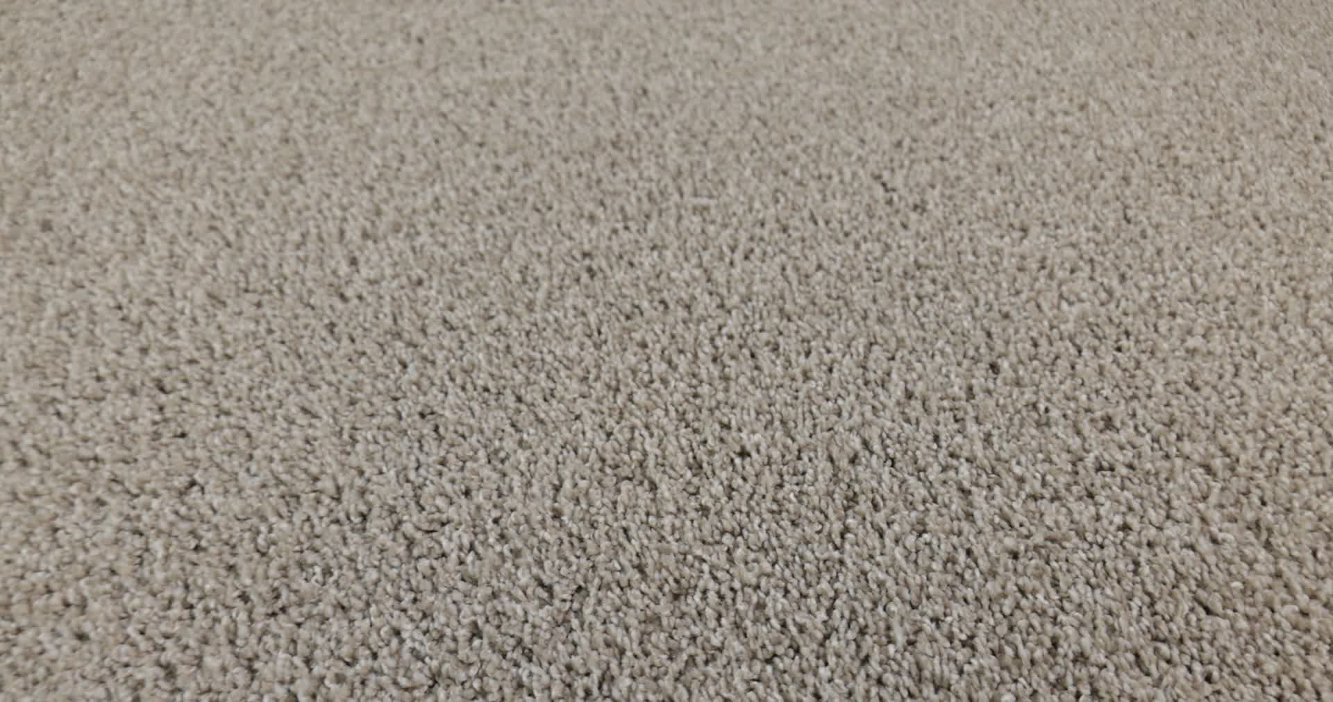 AGILITY MAGNOLIA BLOOM 360PROD