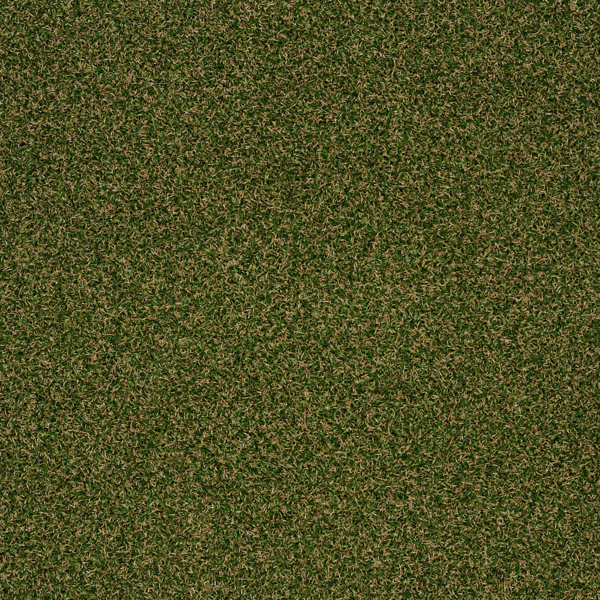 LAUNCH-54743-SEA-GRASS-00310-main-image