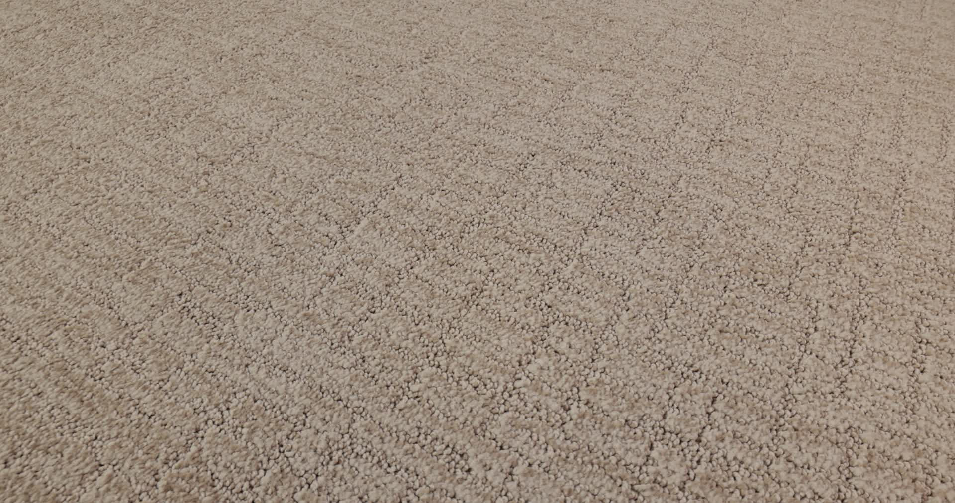 WANDERER PEANUT SHELL 360PROD