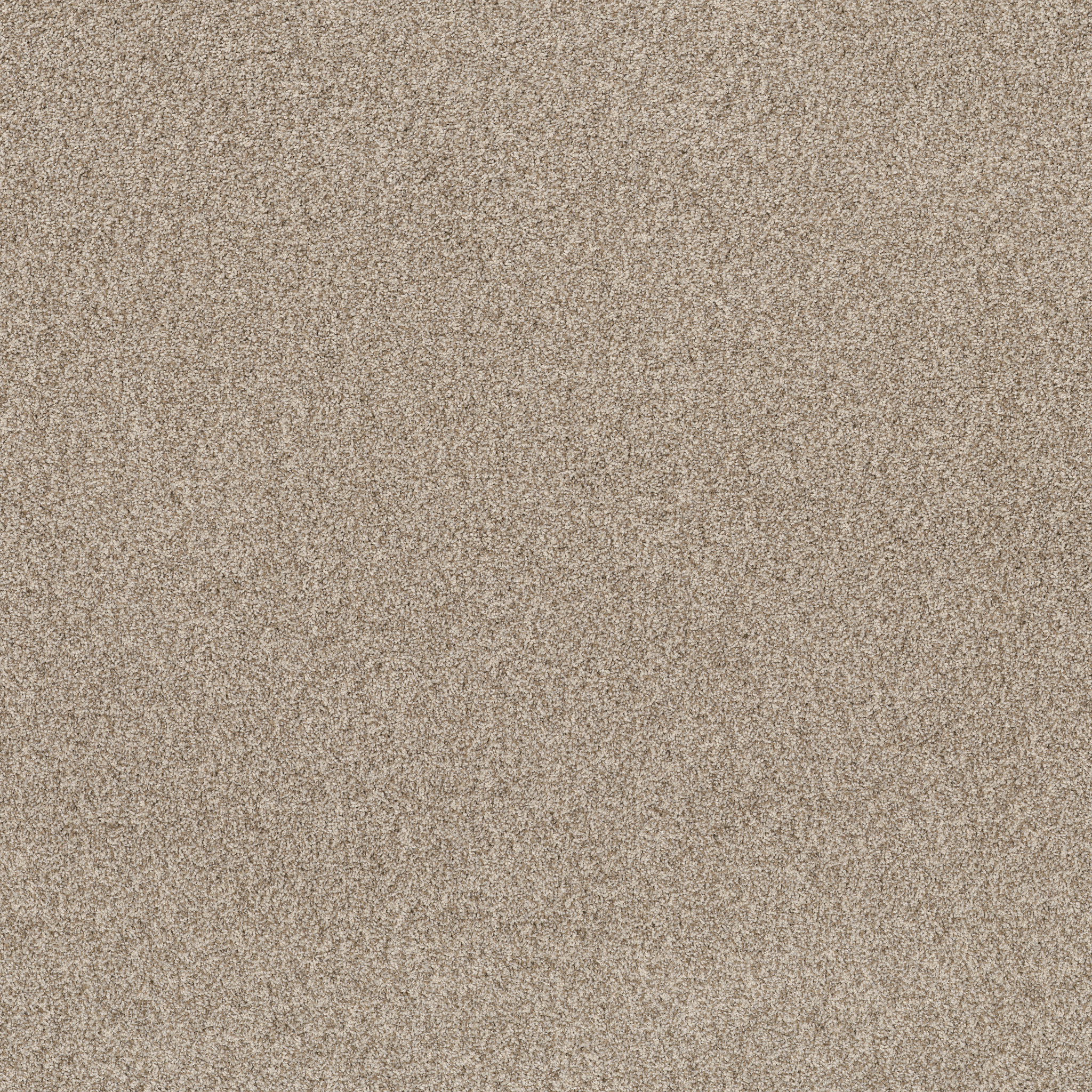 VIA NOVA MEDITATION MAIN