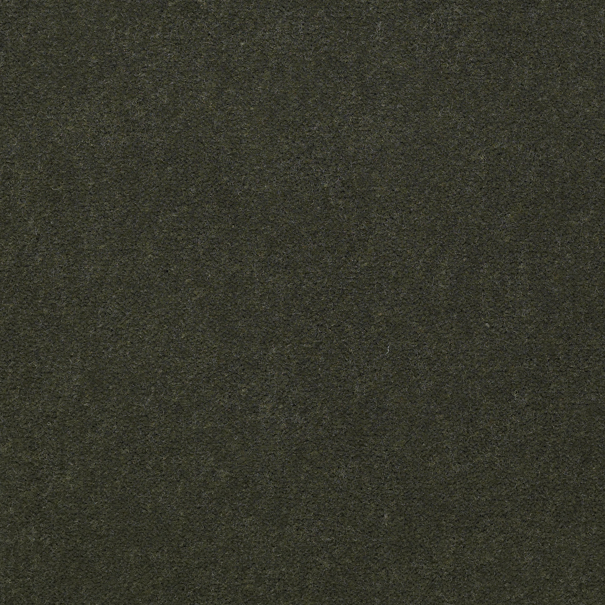 EMPHATIC-II-36-54256-THYME-56314-main-image