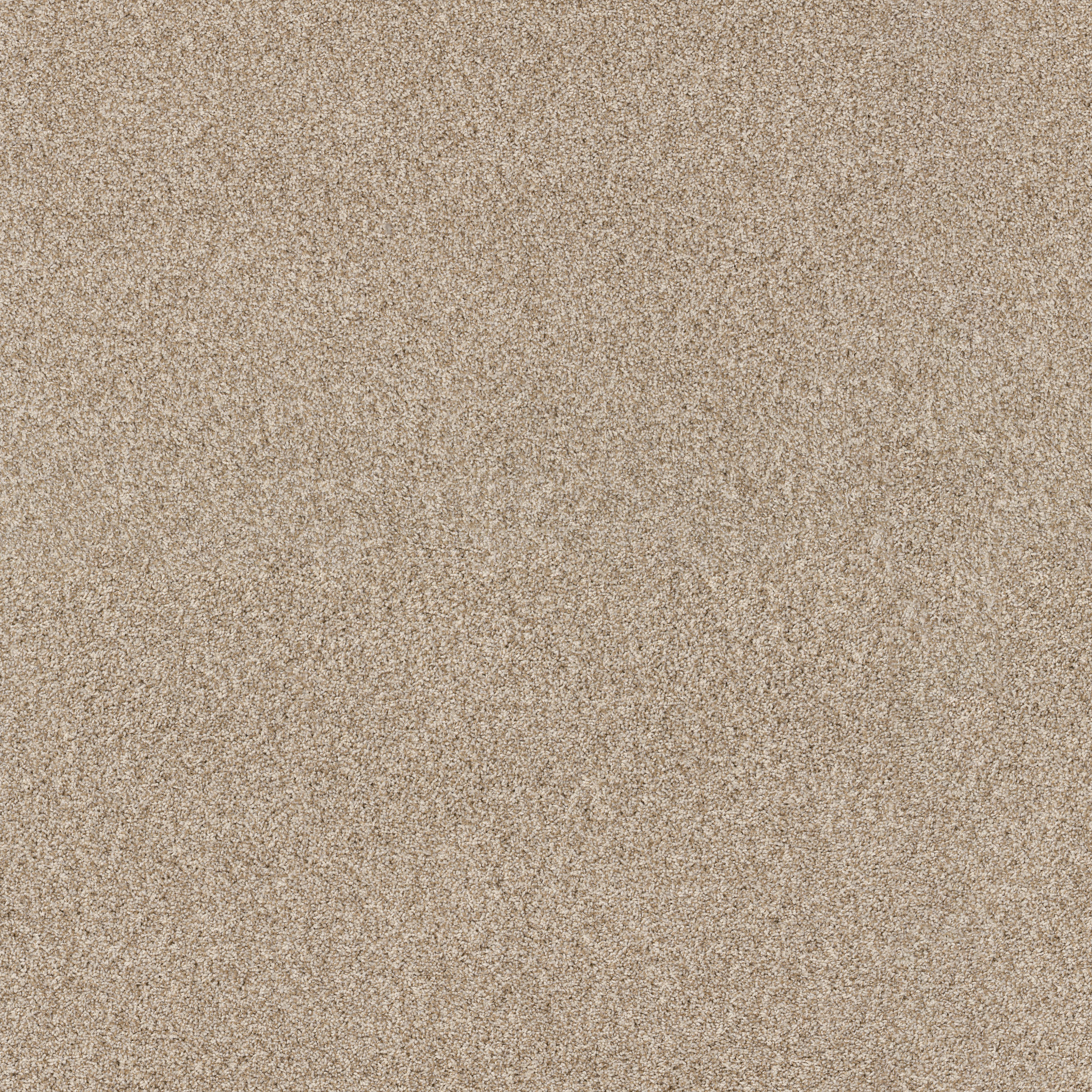 VIA NOVA BEACH GRASS MAIN