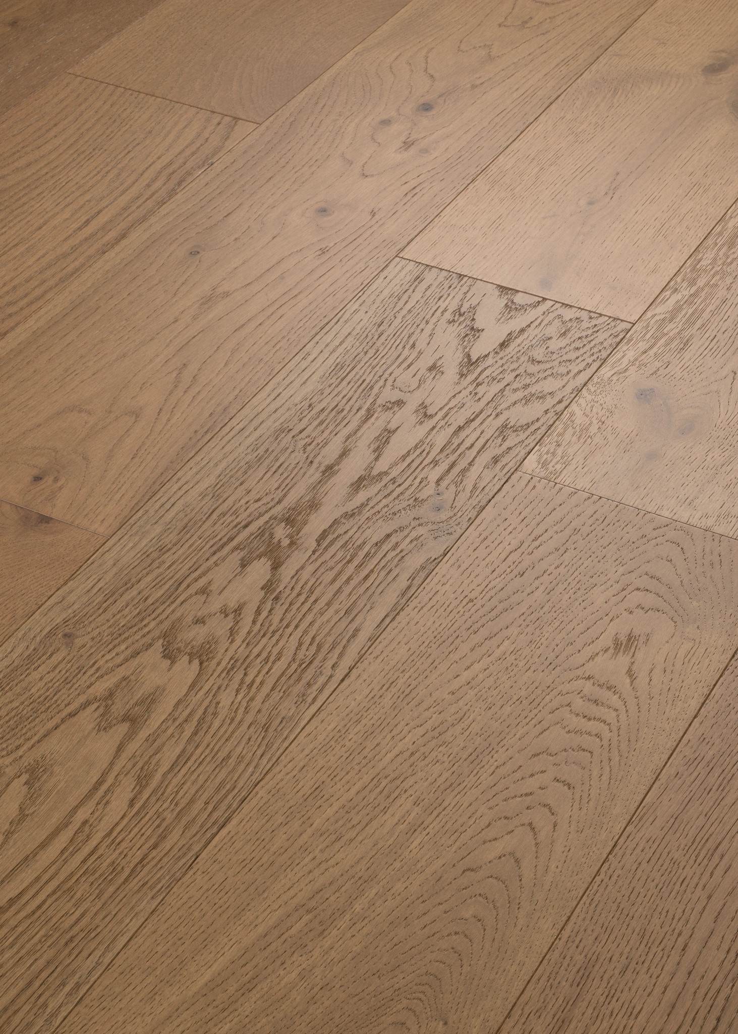 UTMOST INTENT ANGLED