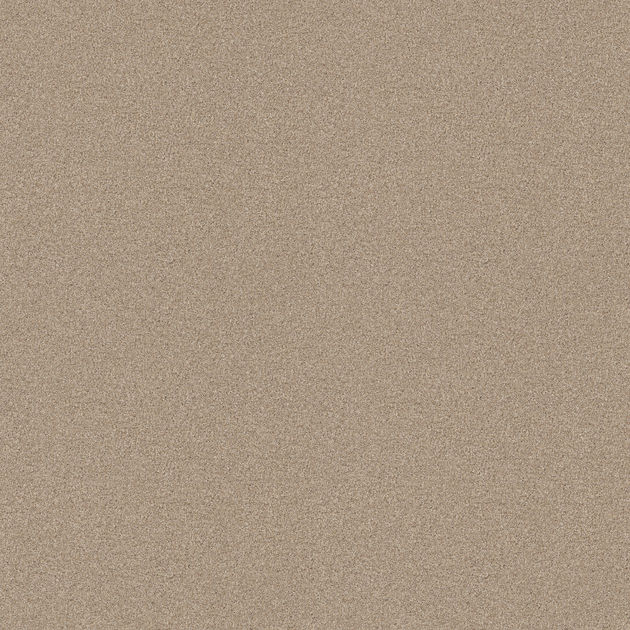 Find your comfort II - Tonal DINNER WITH FRI MAIN