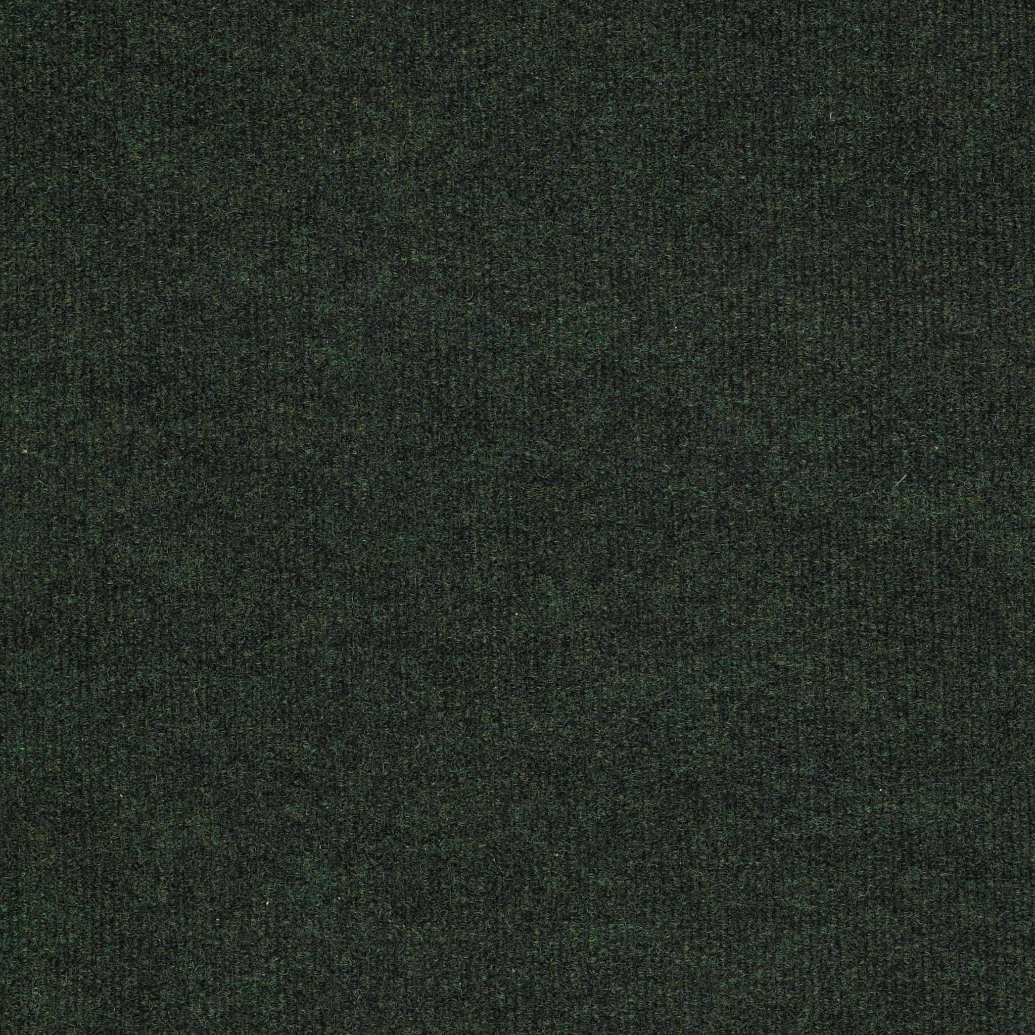 BACKDROP I 6 54682 FOREST NIGHT 00300 main image