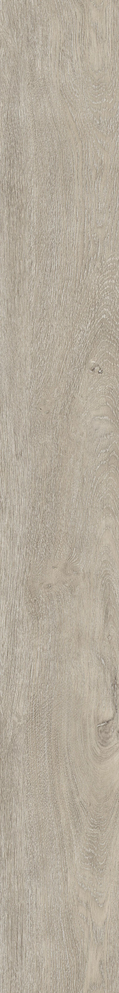 SPARWOOD OAK 06 1TO1