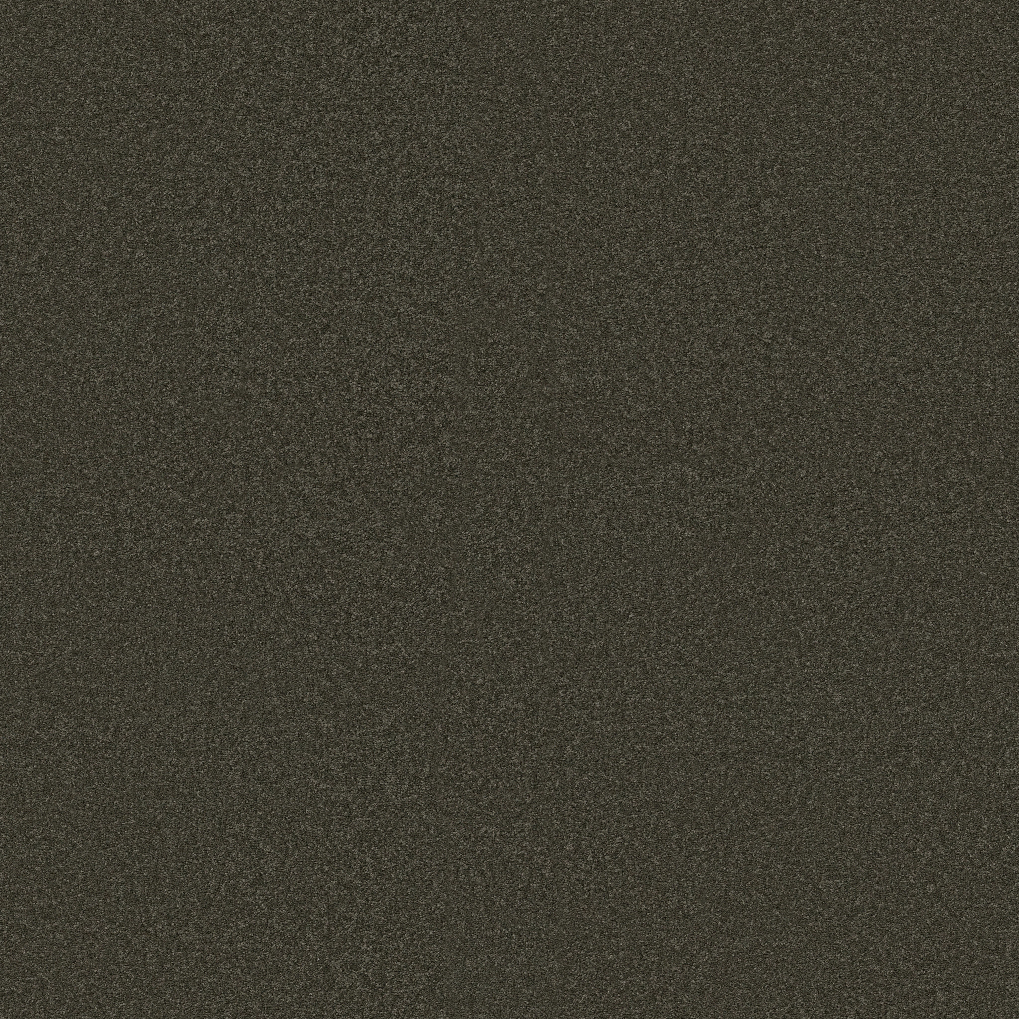 SHINGLE CREEK IV 15' ARROWHEAD MAIN