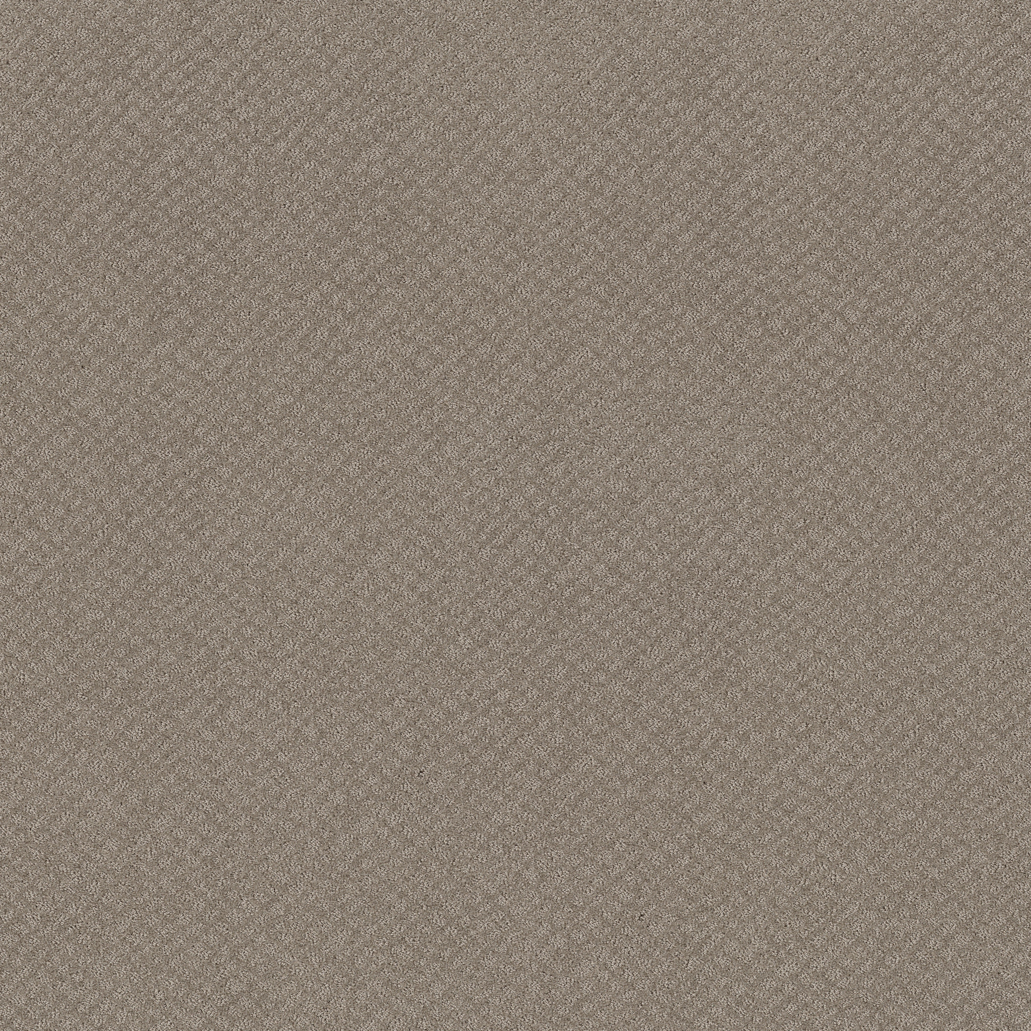 CHIC SHADES RIVER RUN MAIN