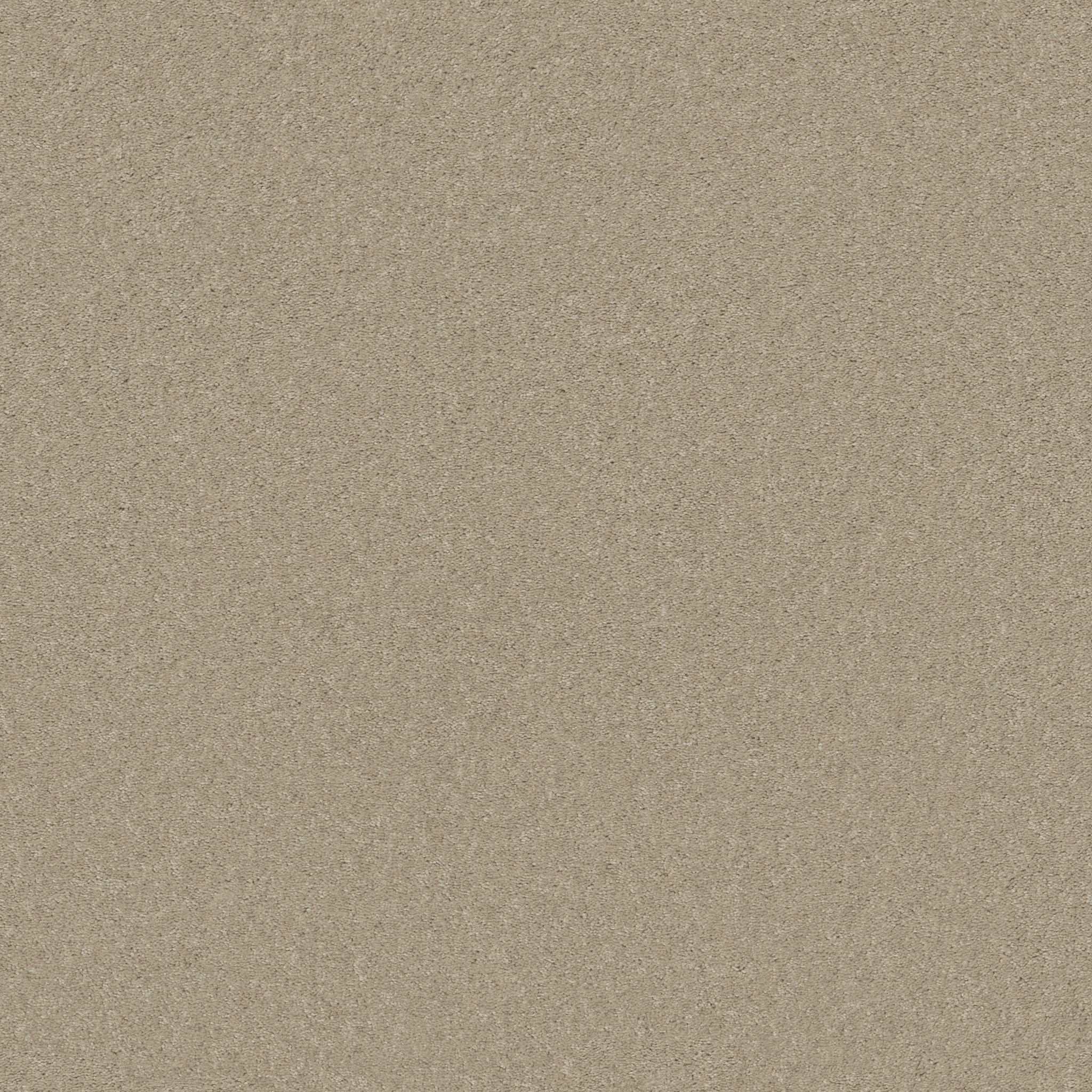 WELL PLAYED I 15&#x27; AGATE MAIN