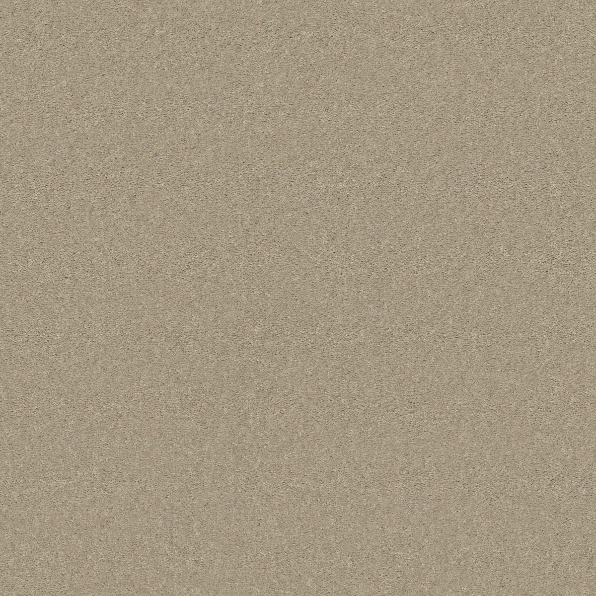 Shaw Floors WELL PLAYED I 15' — AGATE