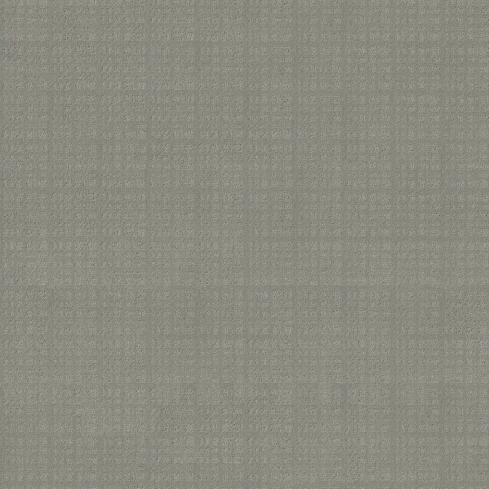 PURRSUASION TIDE POOL MAIN