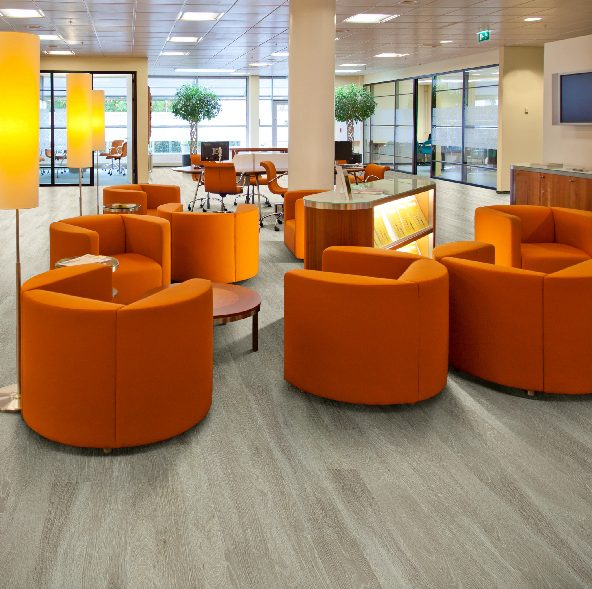 SYMBIOTIC-30-5M304-PLATEAU-00775-room-image