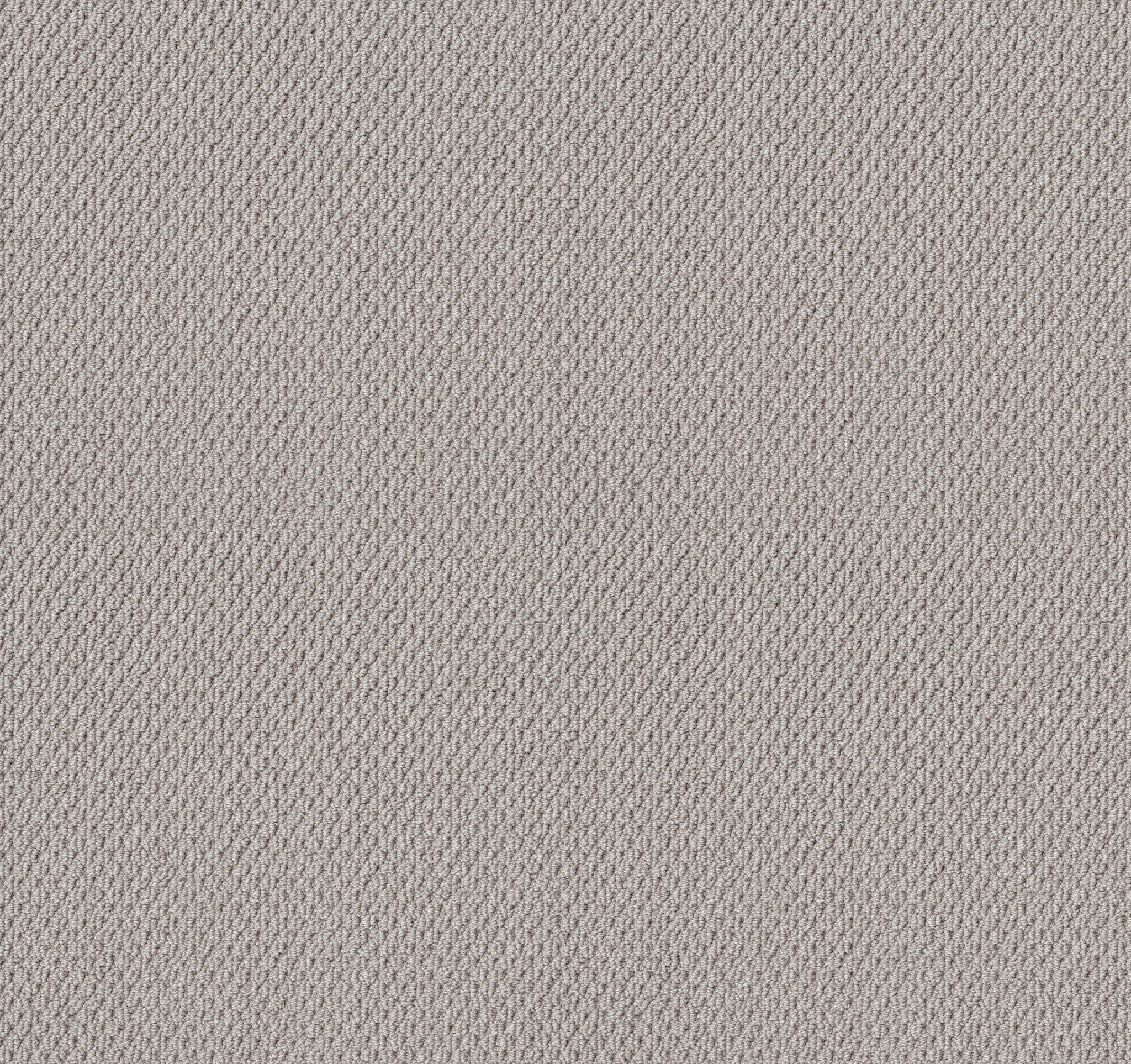 NATURALISTIC SILVER LINING MAIN