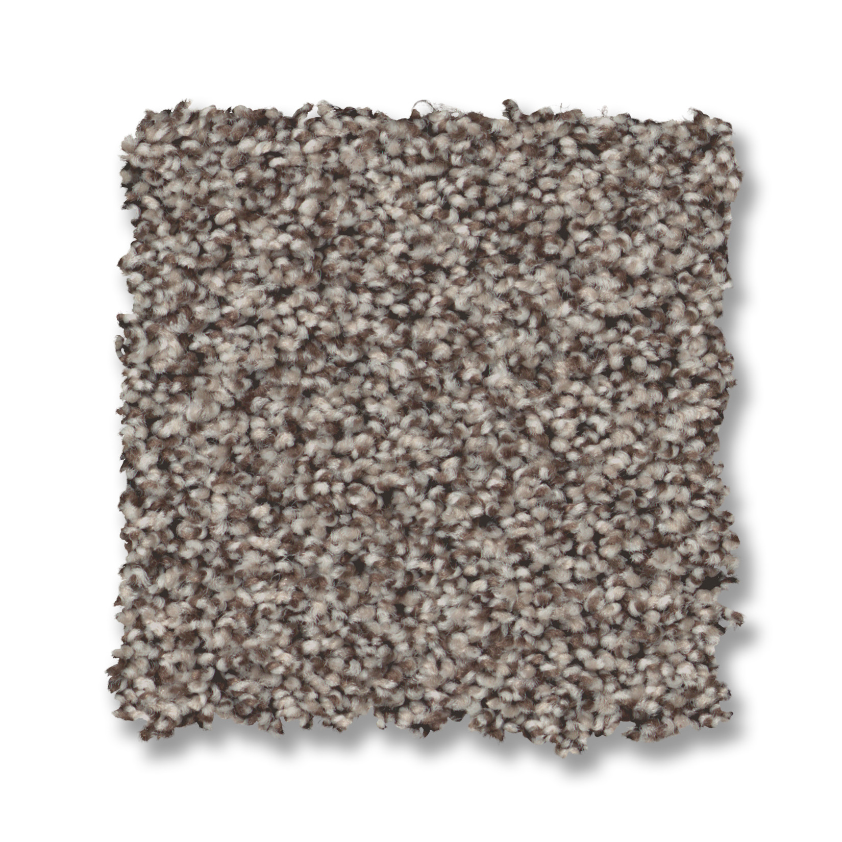 PRESCOTT VALLEY ESPRESSO SWATCH